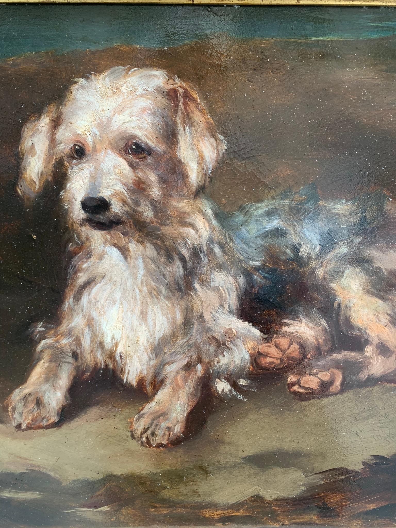 Portrait of a dog: reclining Terrier. Late 19th century. 5