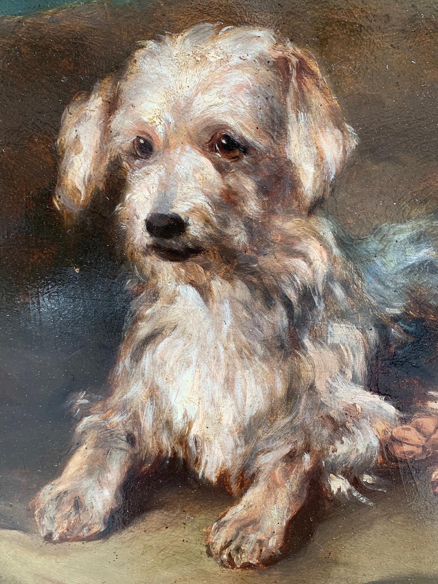 Portrait of a dog: reclining Terrier. Late 19th century. 6