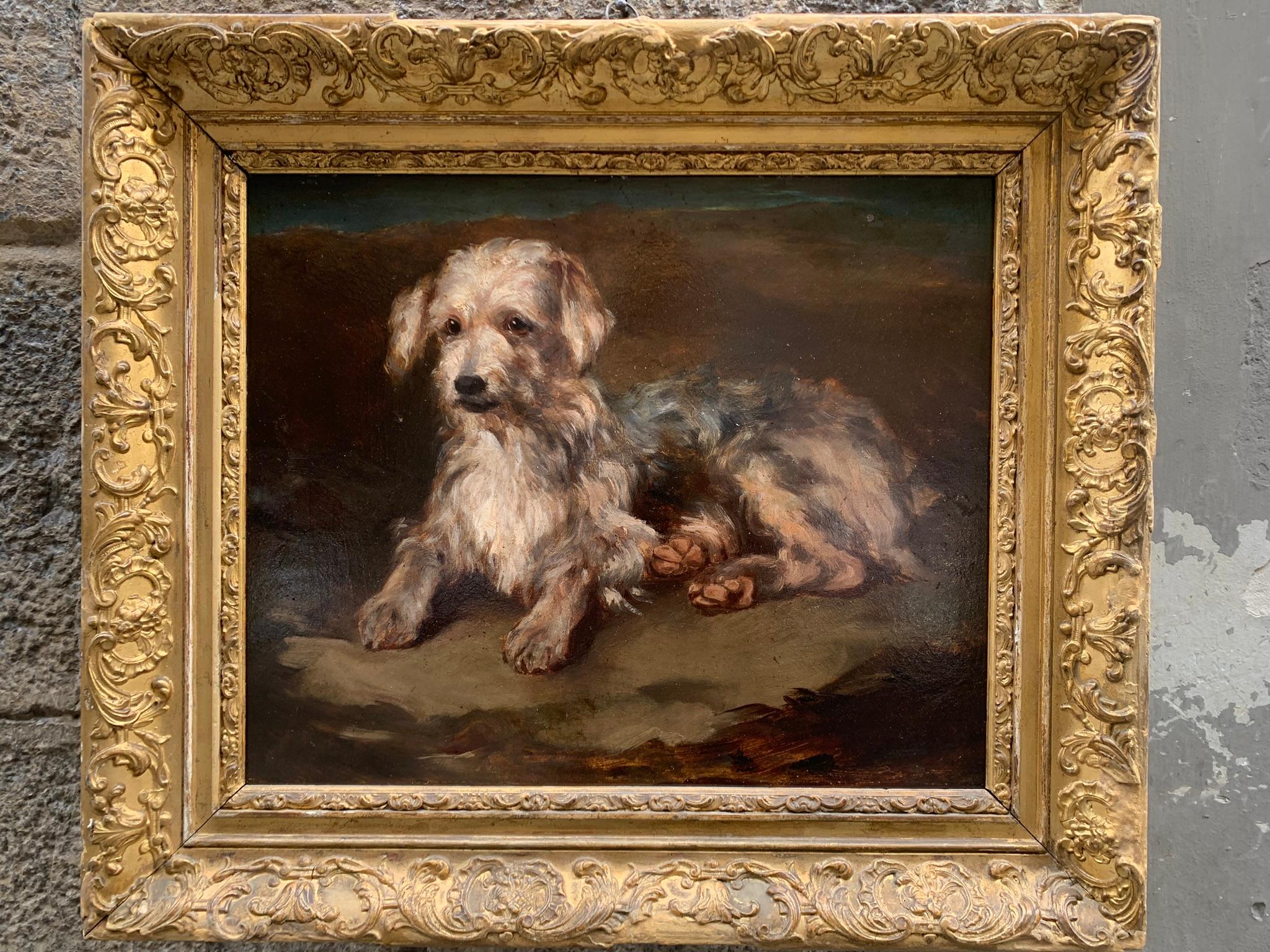 Portrait of a dog: reclining Terrier. Late 19th century. 9