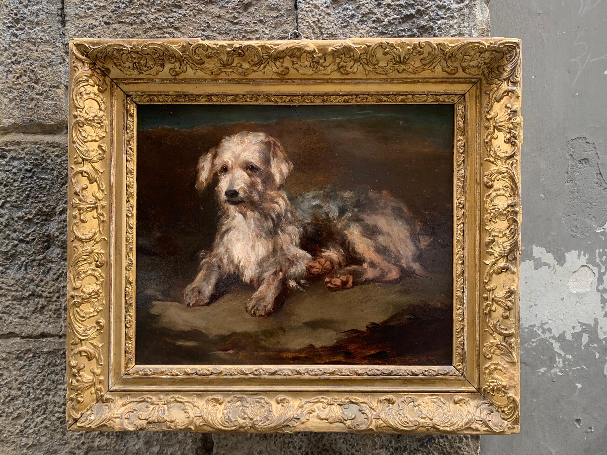 Portrait of a dog: reclining Terrier. Late 19th century. 10