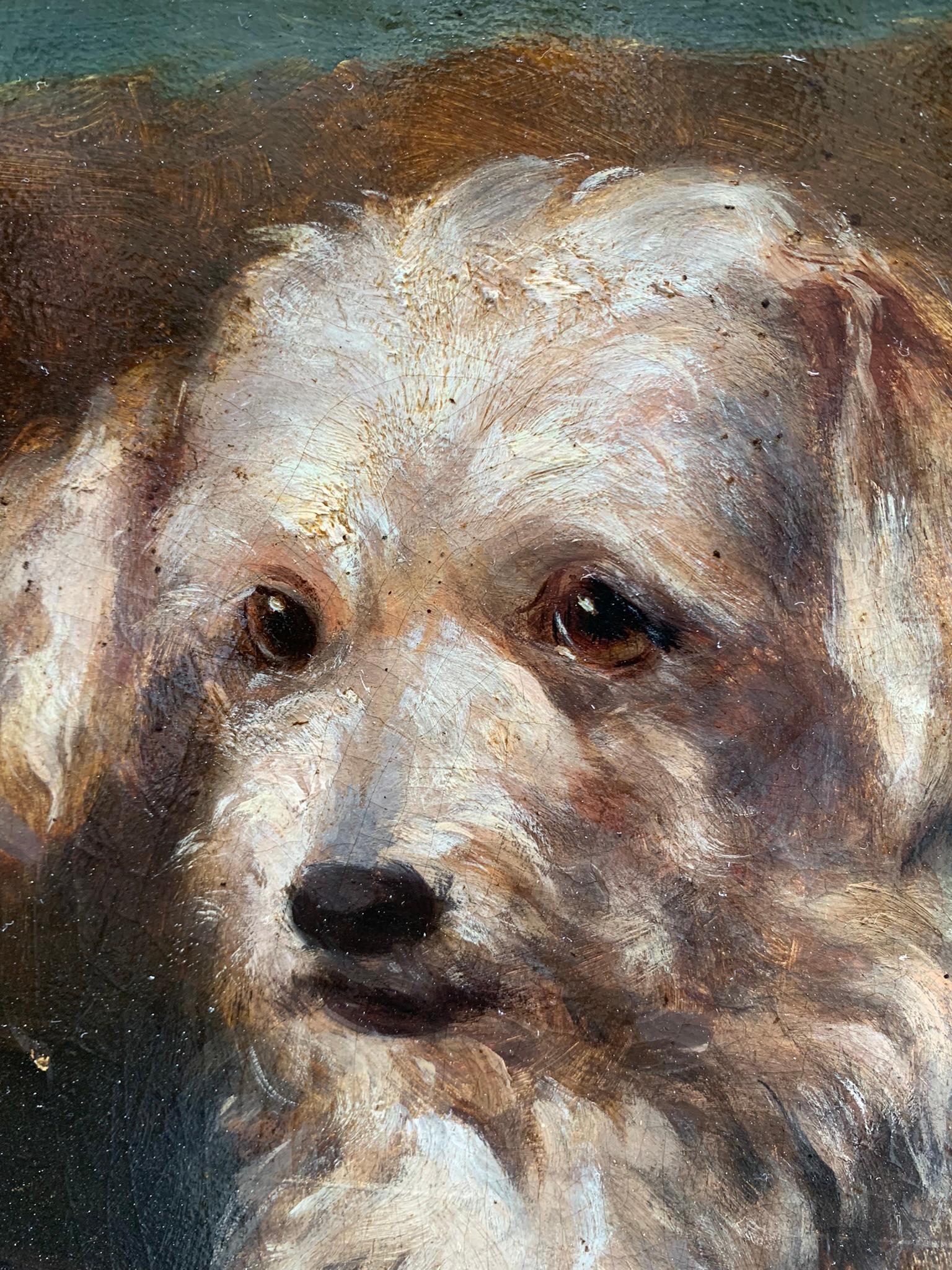 Portrait of a dog: reclining Terrier. Late 19th century. 1