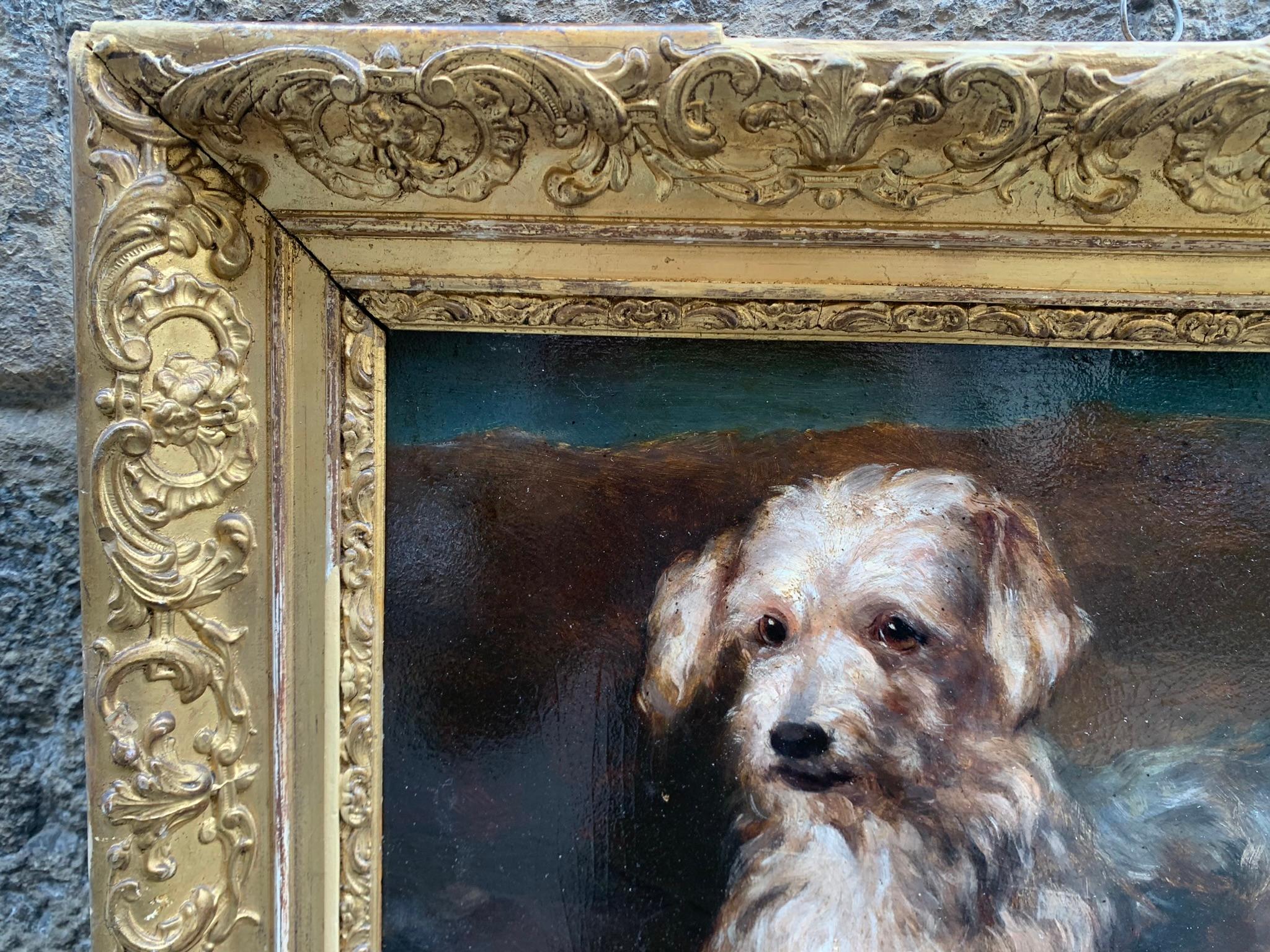 Portrait of a dog: reclining Terrier. Late 19th century. 4