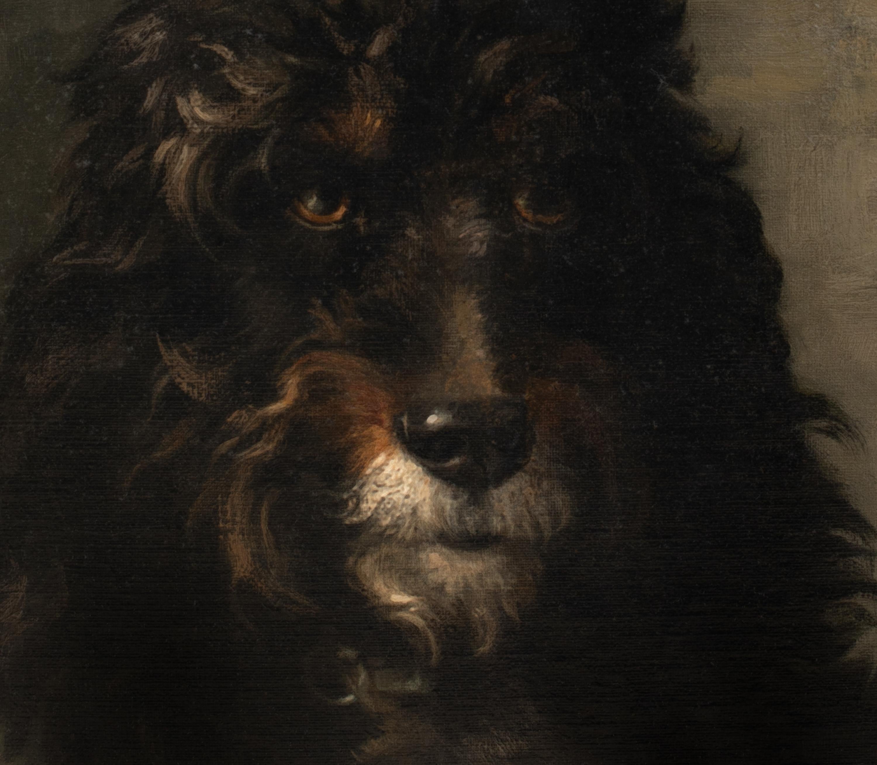 Portrait Of A French Poodle, 19th Century  by LOUIS DAREY (1863-1914)  For Sale 7