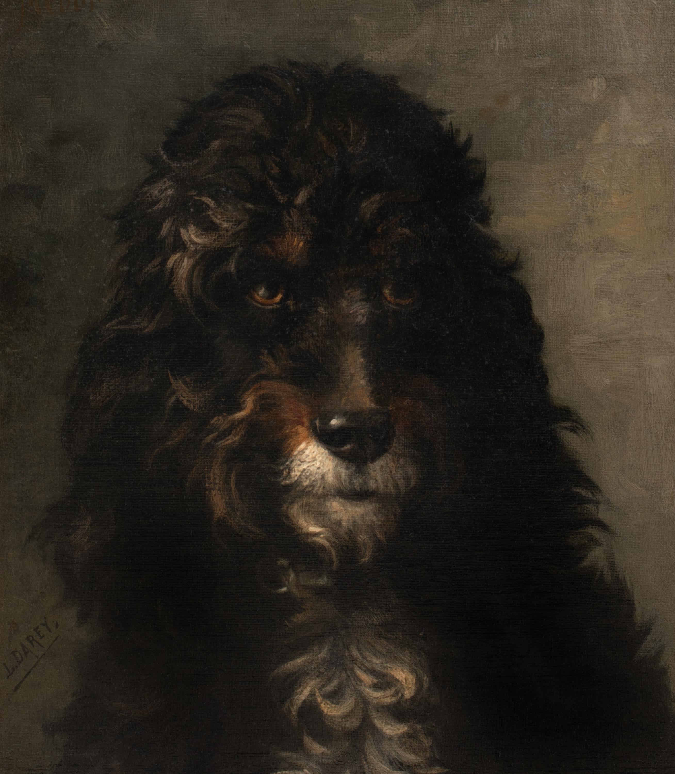 Portrait Of A French Poodle, 19th Century

by LOUIS DAREY (1863-1914)

Large 19th Century French portrait of the head of a poodle, oil on canvas by Louis Carey. Good quality and condition example of the famous dog painters work depicting an early