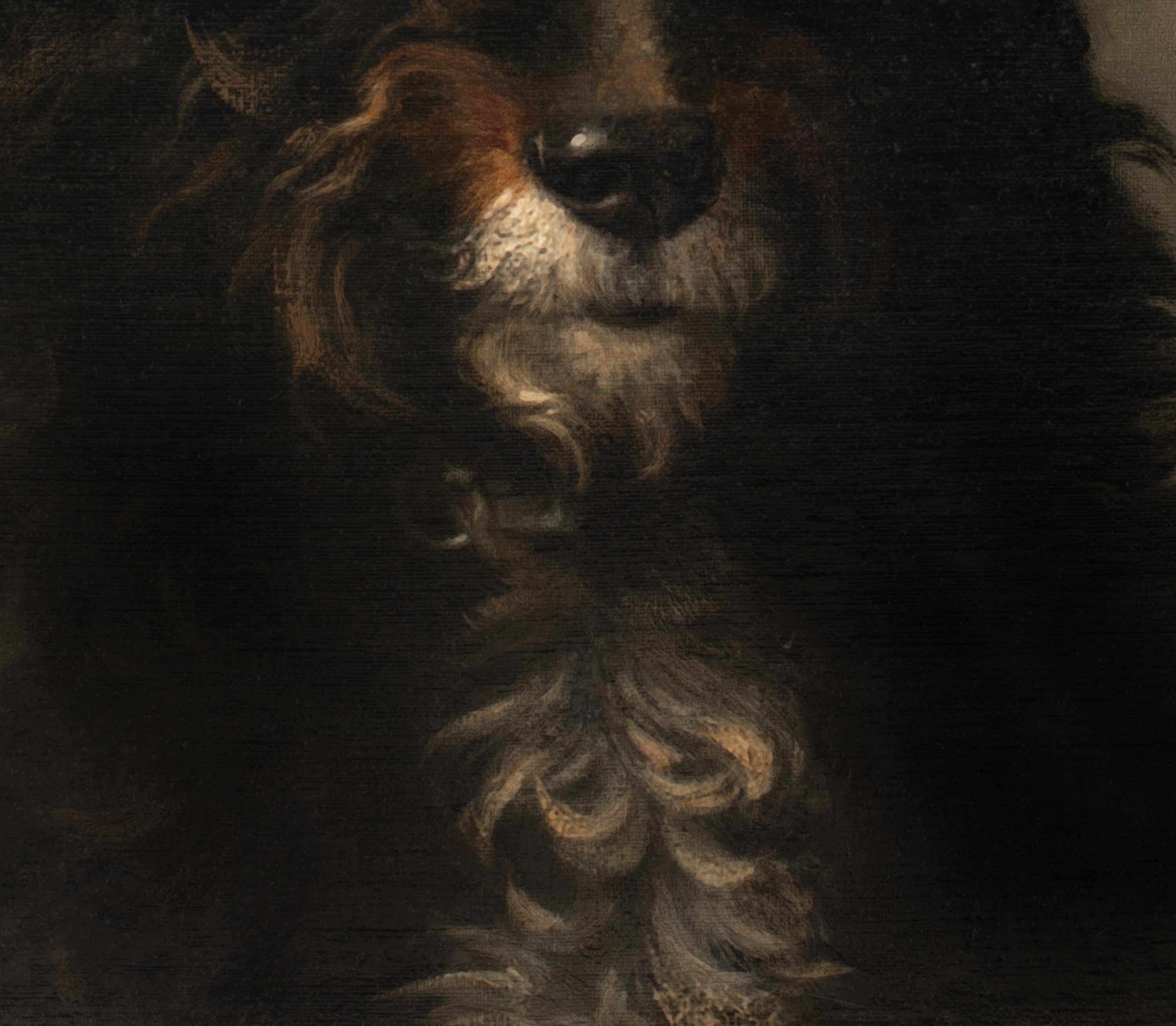 Portrait d'un caniche français, 19ème siècle  par LOUIS DAREY (1863-1914)  en vente 2