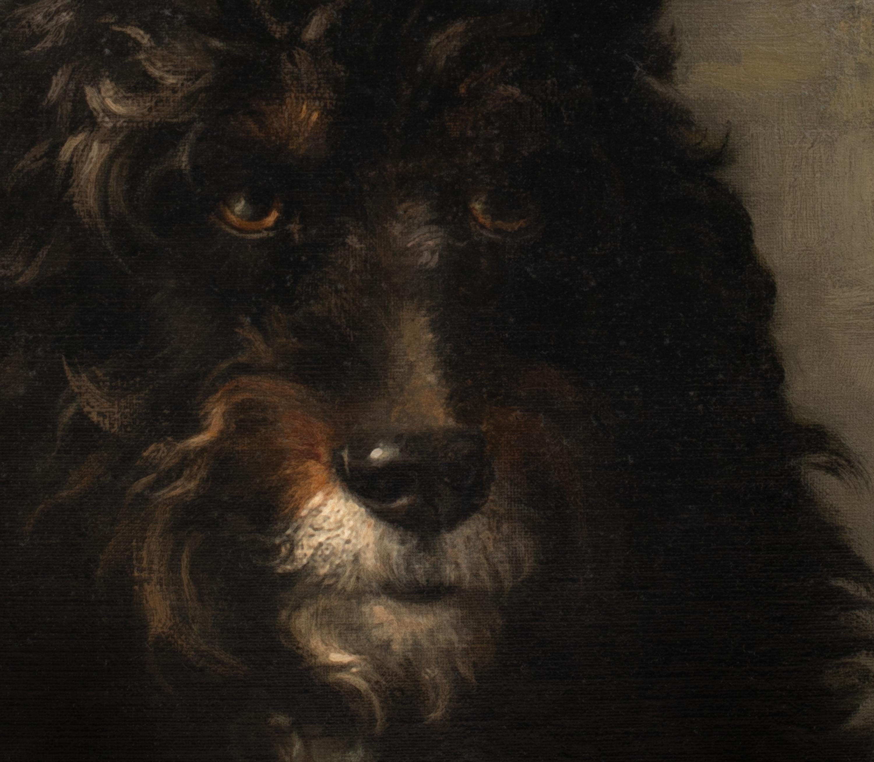 Portrait Of A French Poodle, 19th Century  by LOUIS DAREY (1863-1914)  For Sale 4