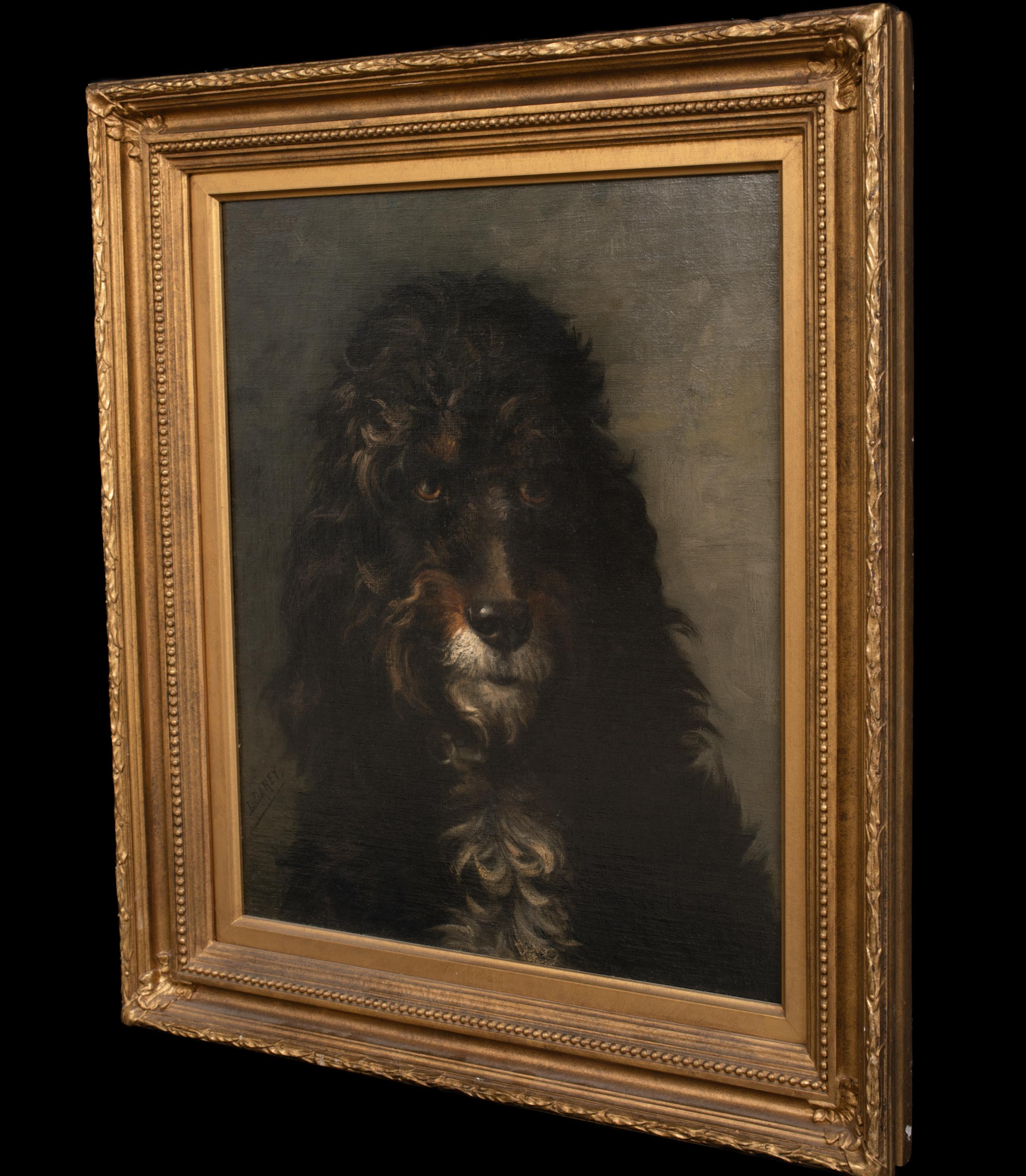 Portrait d'un caniche français, 19ème siècle  par LOUIS DAREY (1863-1914)  en vente 5