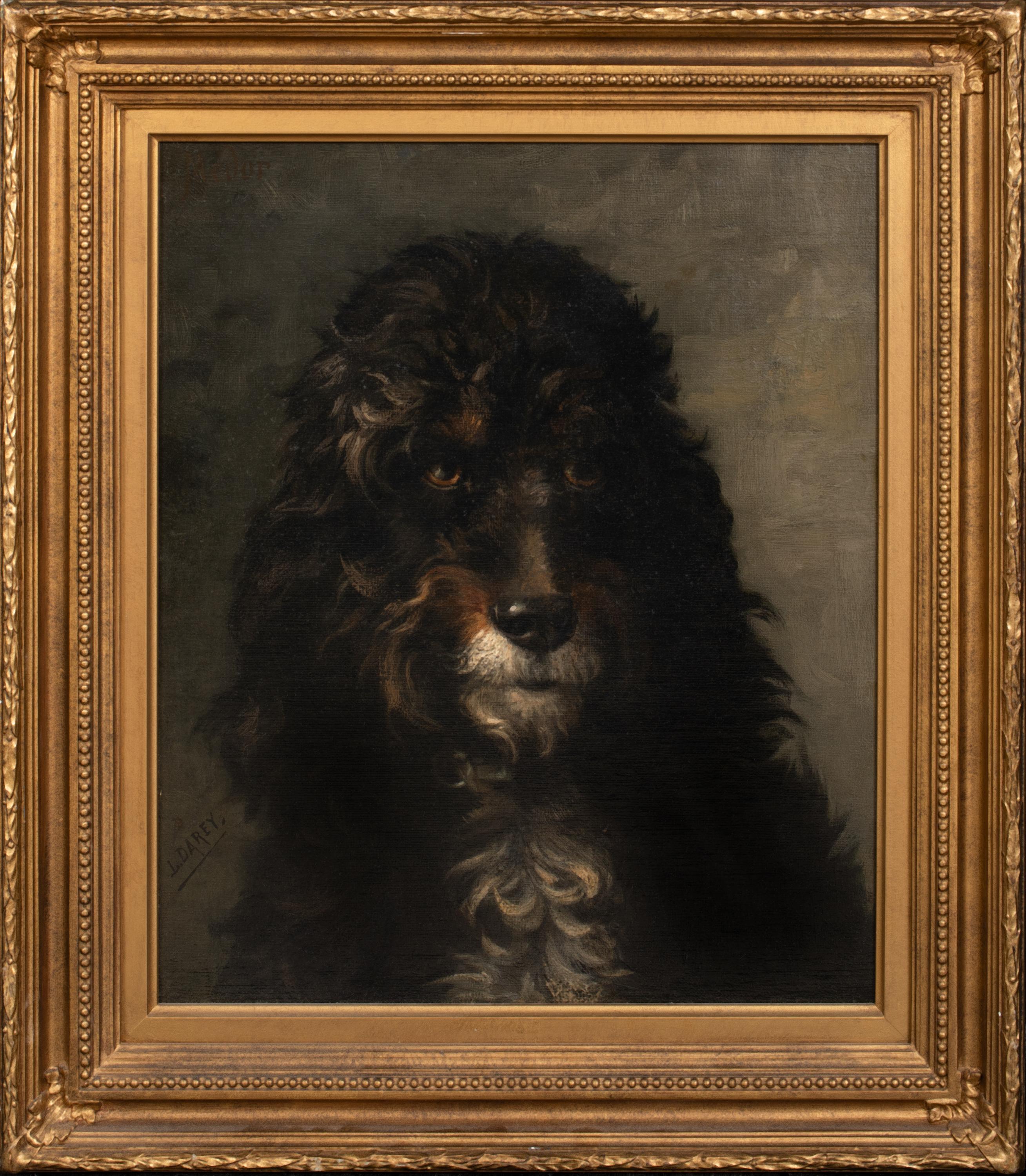 Animal Painting Unknown - Portrait d'un caniche français, 19ème siècle  par LOUIS DAREY (1863-1914) 