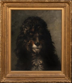 Retro Portrait Of A French Poodle, 19th Century  by LOUIS DAREY (1863-1914) 