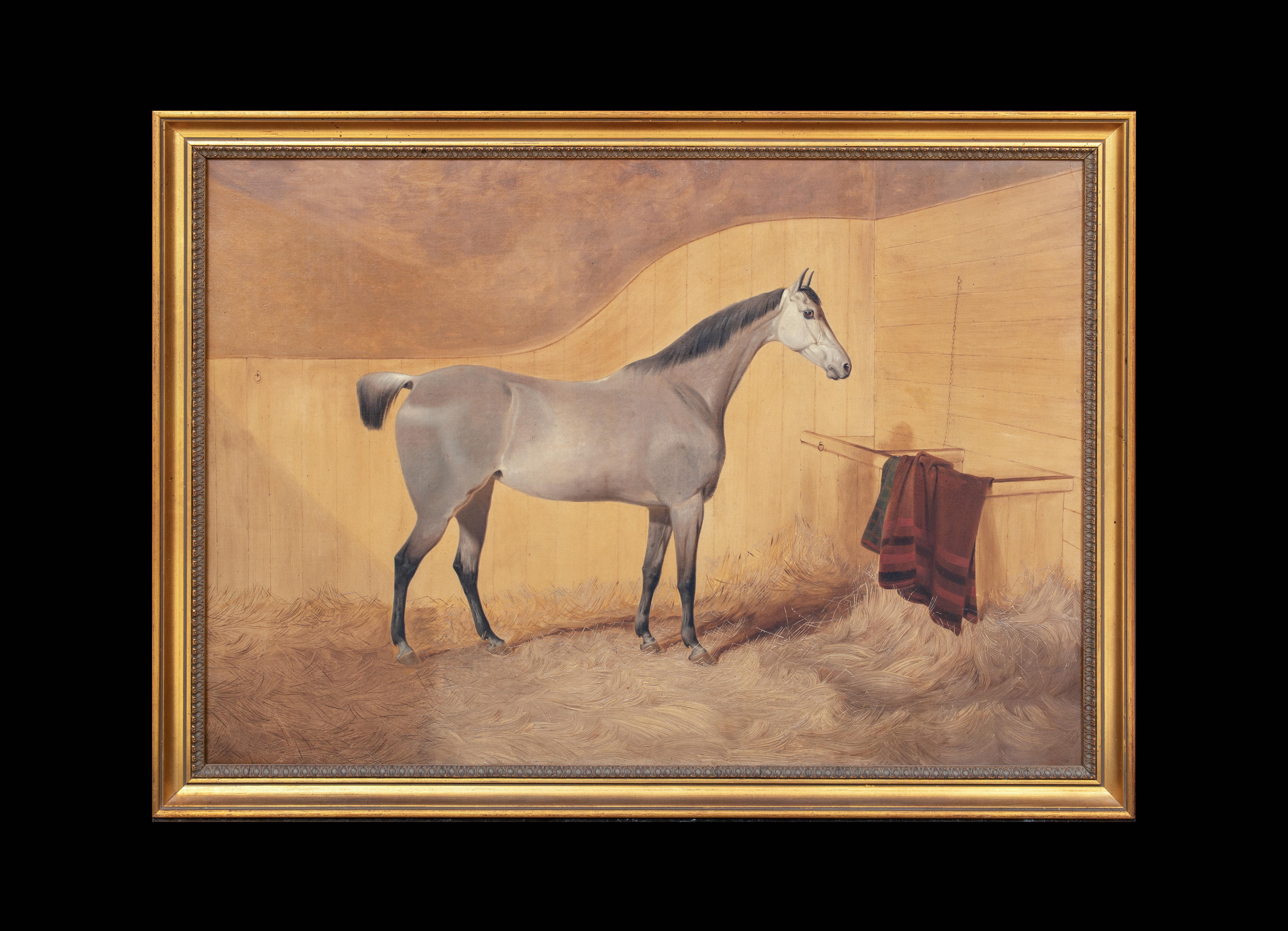 
Portrait Of A Grey Horse, 19th Century 

English School

Large 19th Century English School portrait of a grey horse in a stable, oil on canvas. Good quality and condition large scale study by an accomplished sporing equestrian painter circa 1870.