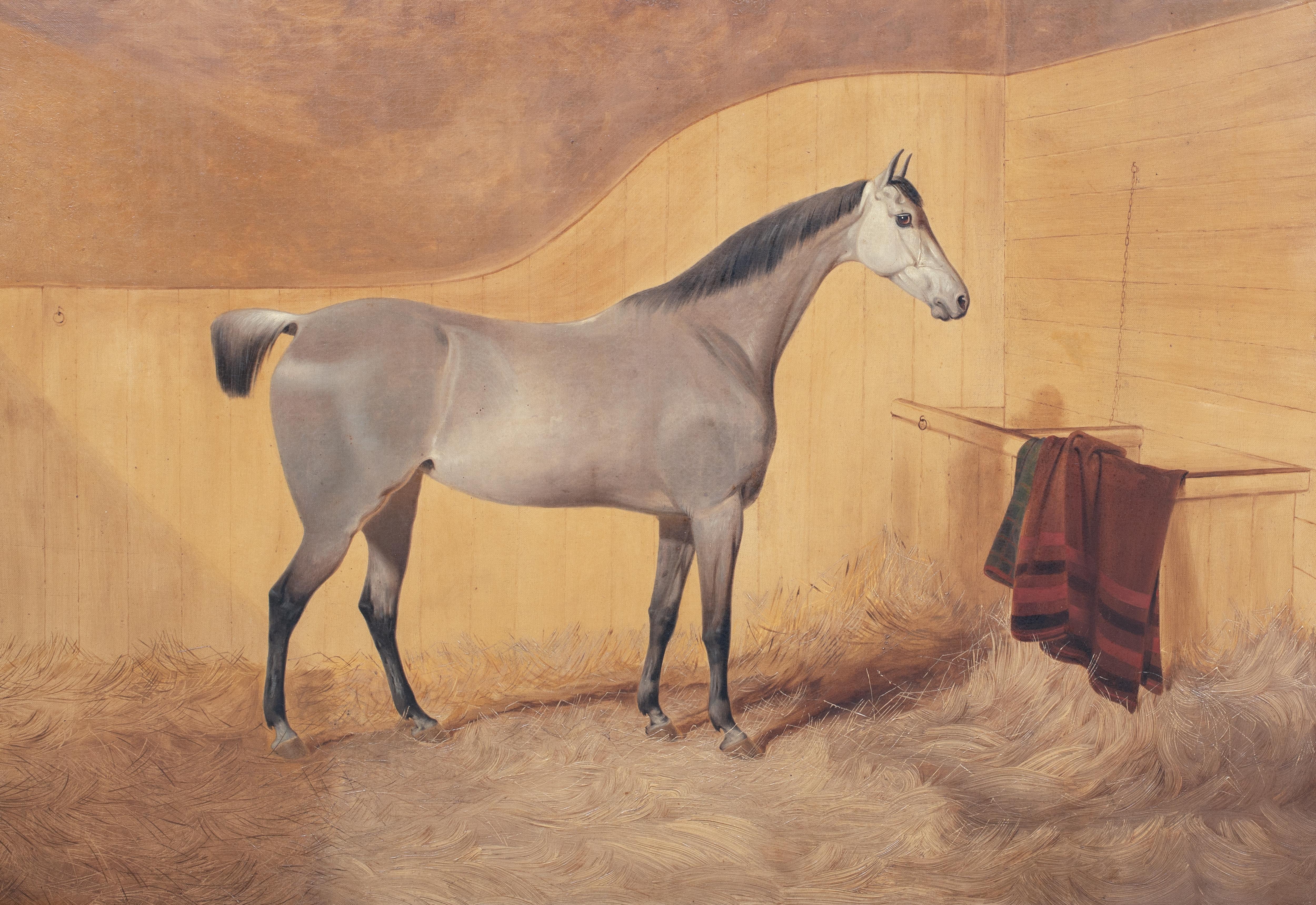  Portrait Of A Grey Horse, 19th Century   English School For Sale 1