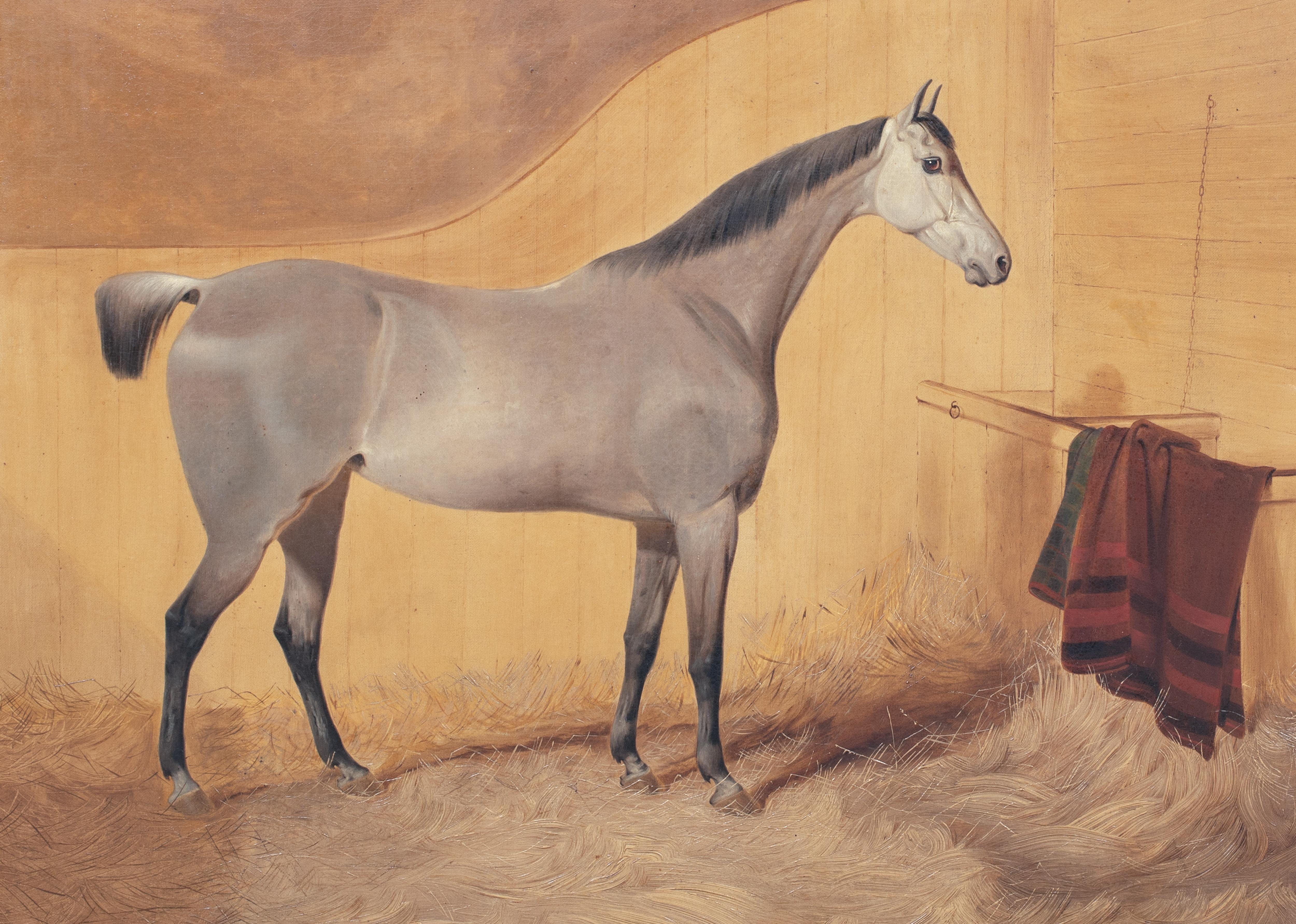  Portrait Of A Grey Horse, 19th Century   English School For Sale 2