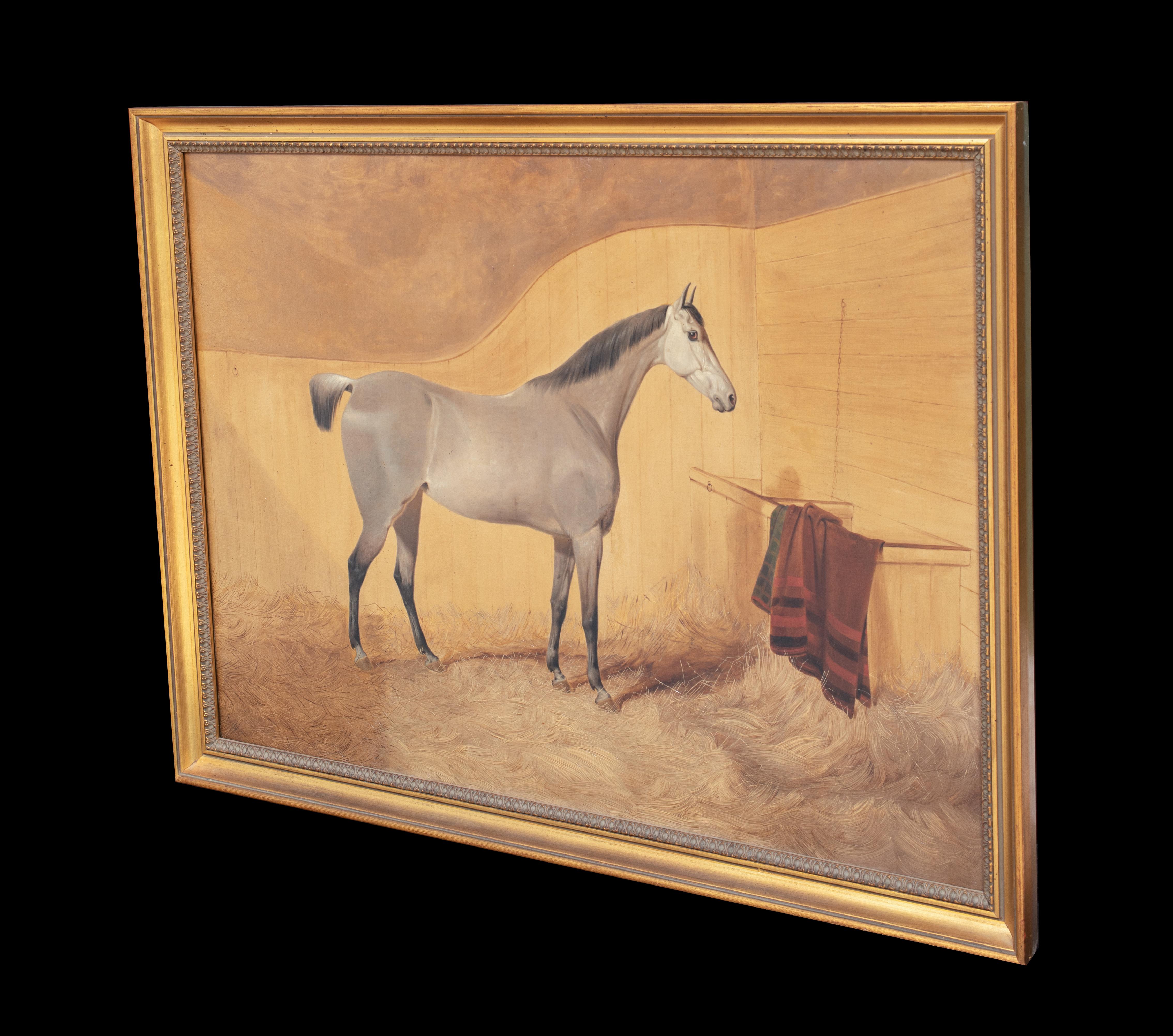  Portrait Of A Grey Horse, 19th Century   English School For Sale 3