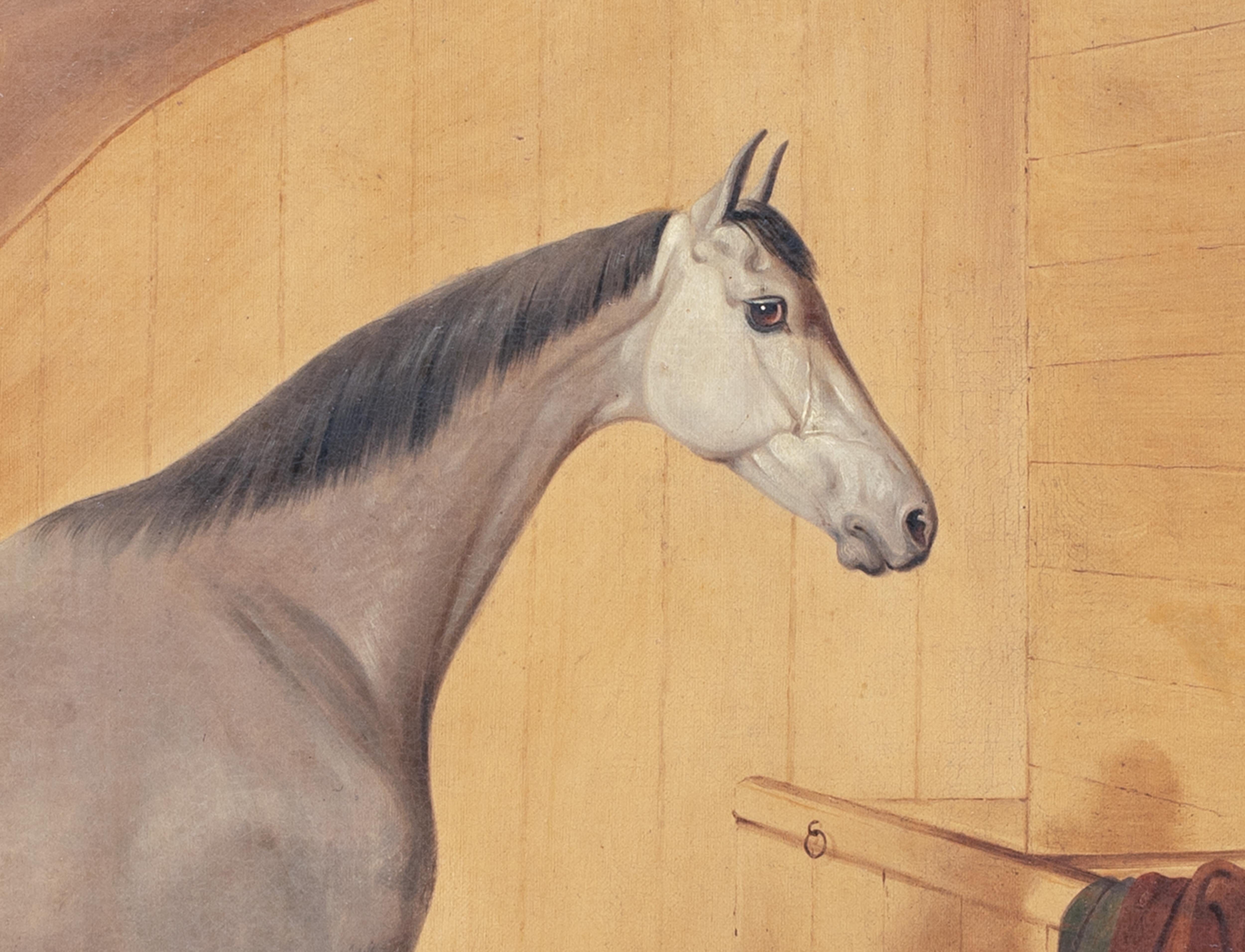  Portrait Of A Grey Horse, 19th Century   English School For Sale 4
