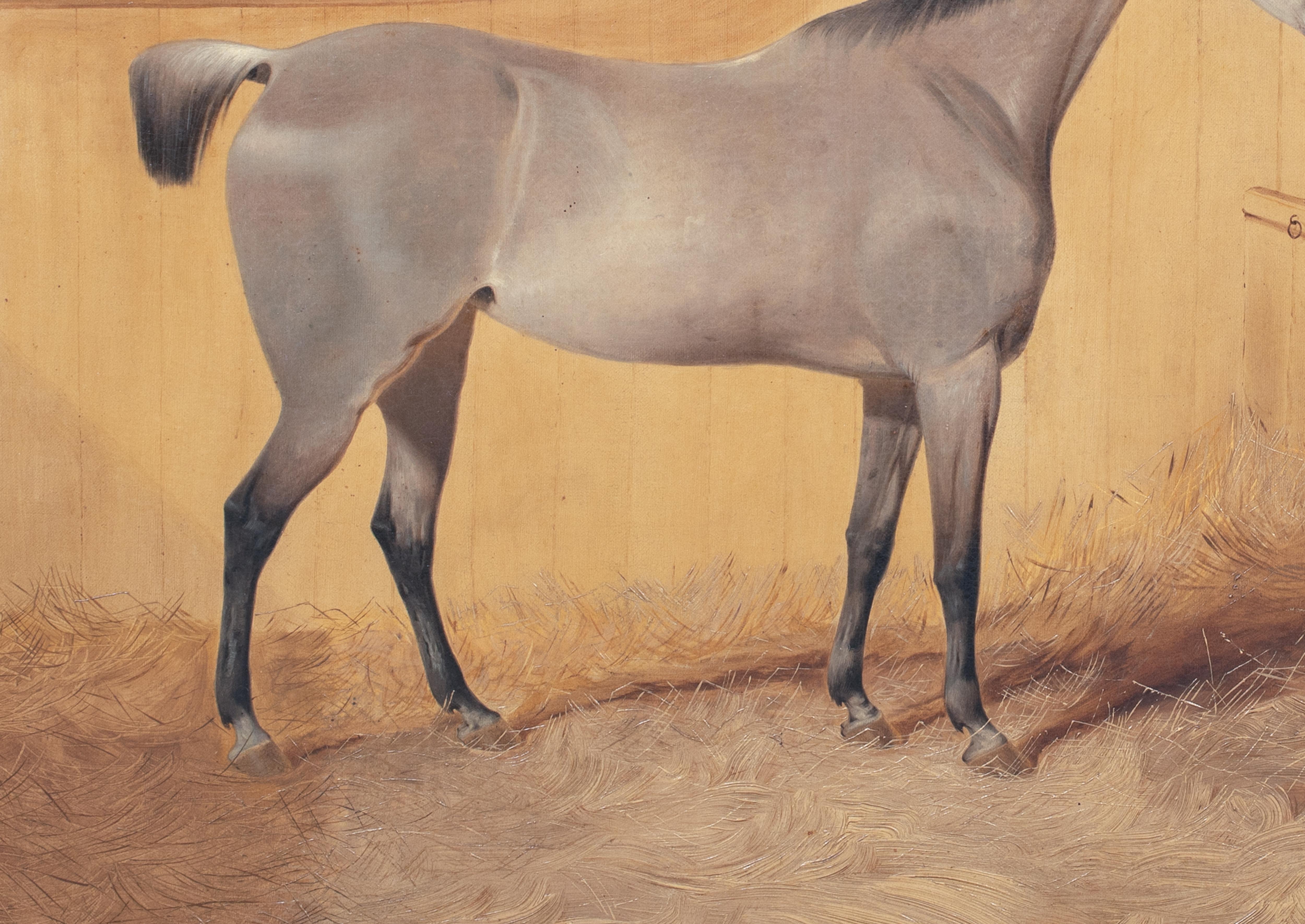  Portrait Of A Grey Horse, 19th Century   English School For Sale 5