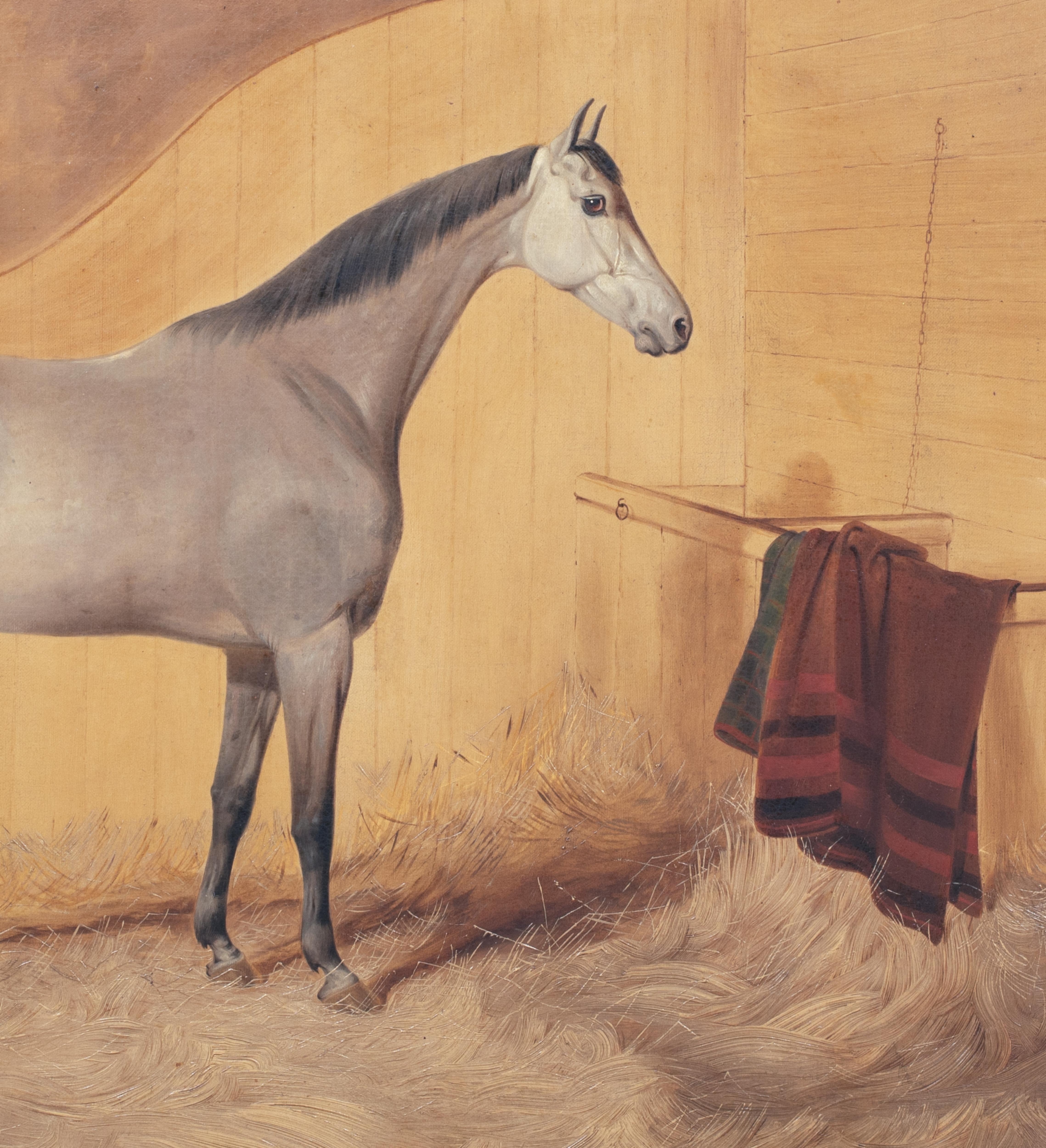  Portrait Of A Grey Horse, 19th Century   English School For Sale 6