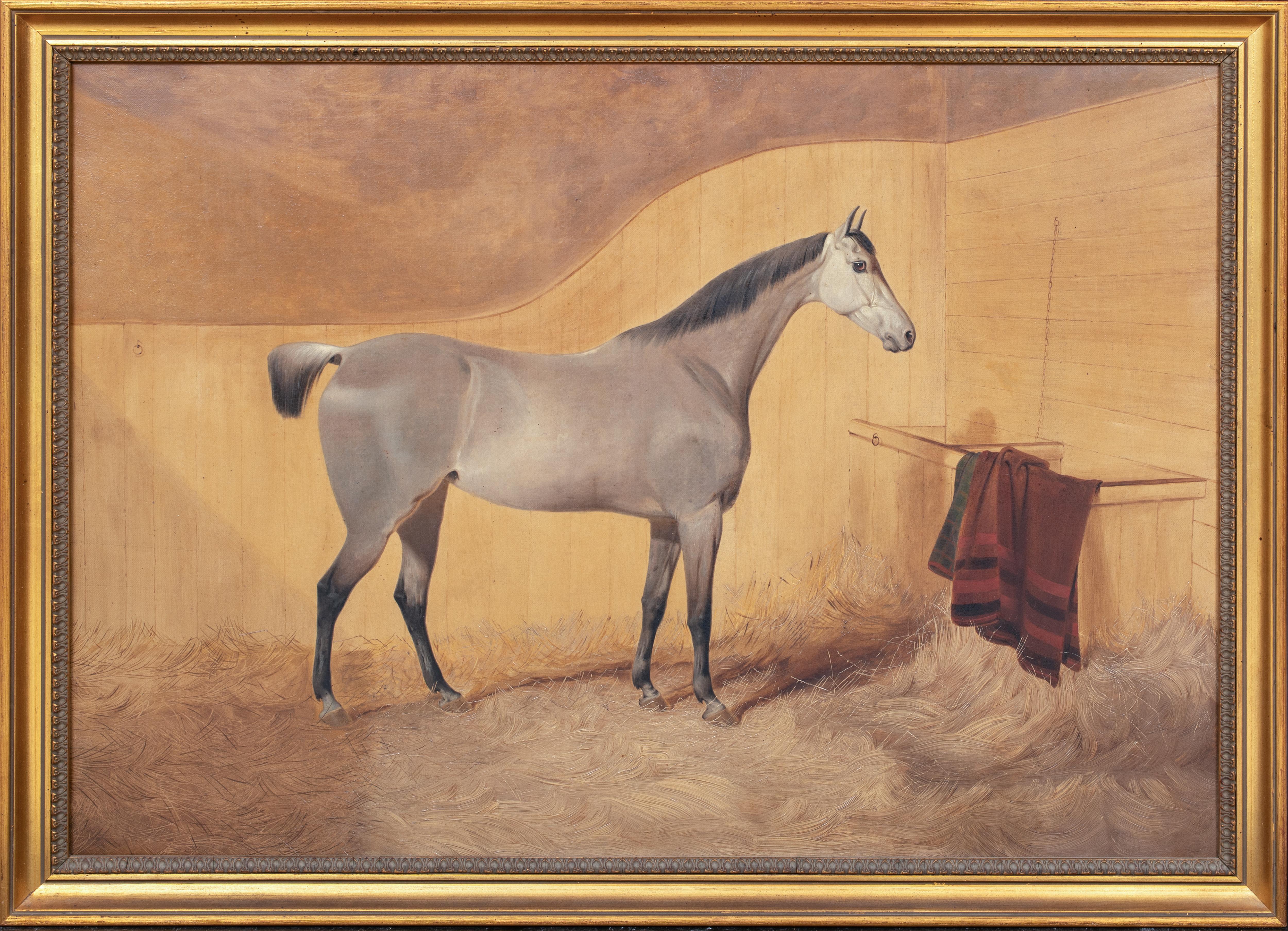 Unknown Animal Painting -  Portrait Of A Grey Horse, 19th Century   English School