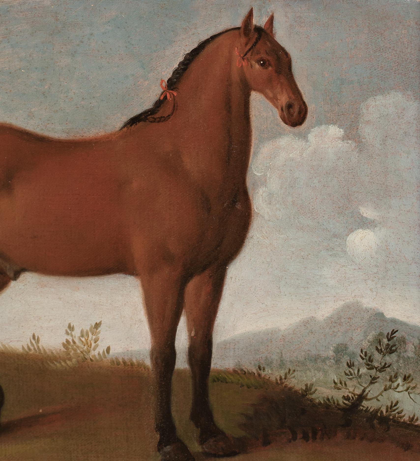 Porträt eines Pferdes, bevorzugter von König Ludwig XIV., 17. Jahrhundert im Angebot 6