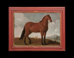Portrait Of A Horse, Favourite of King Louis XIV, 17th Century
