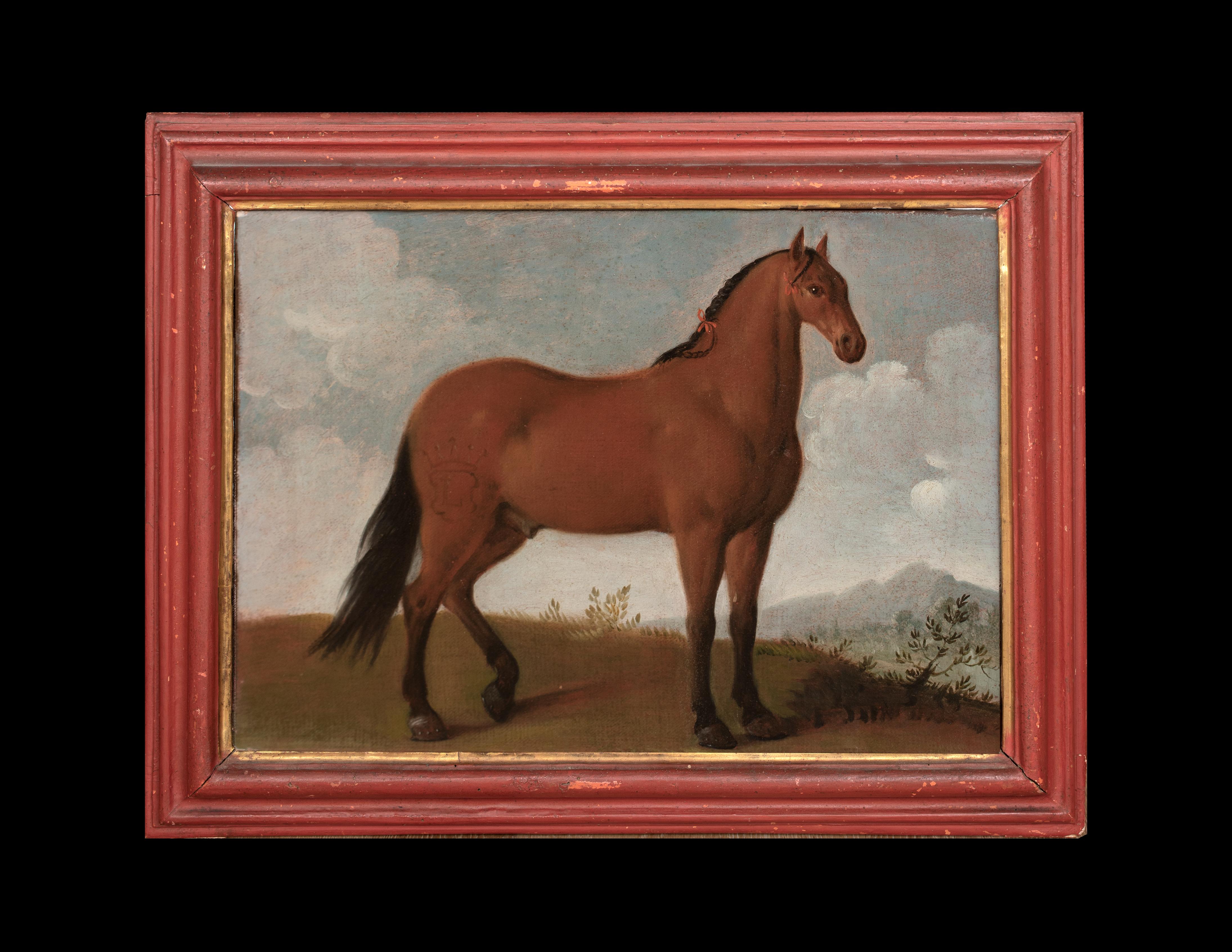 Porträt eines Pferdes, bevorzugter von König Ludwig XIV., 17. Jahrhundert – Painting von Unknown