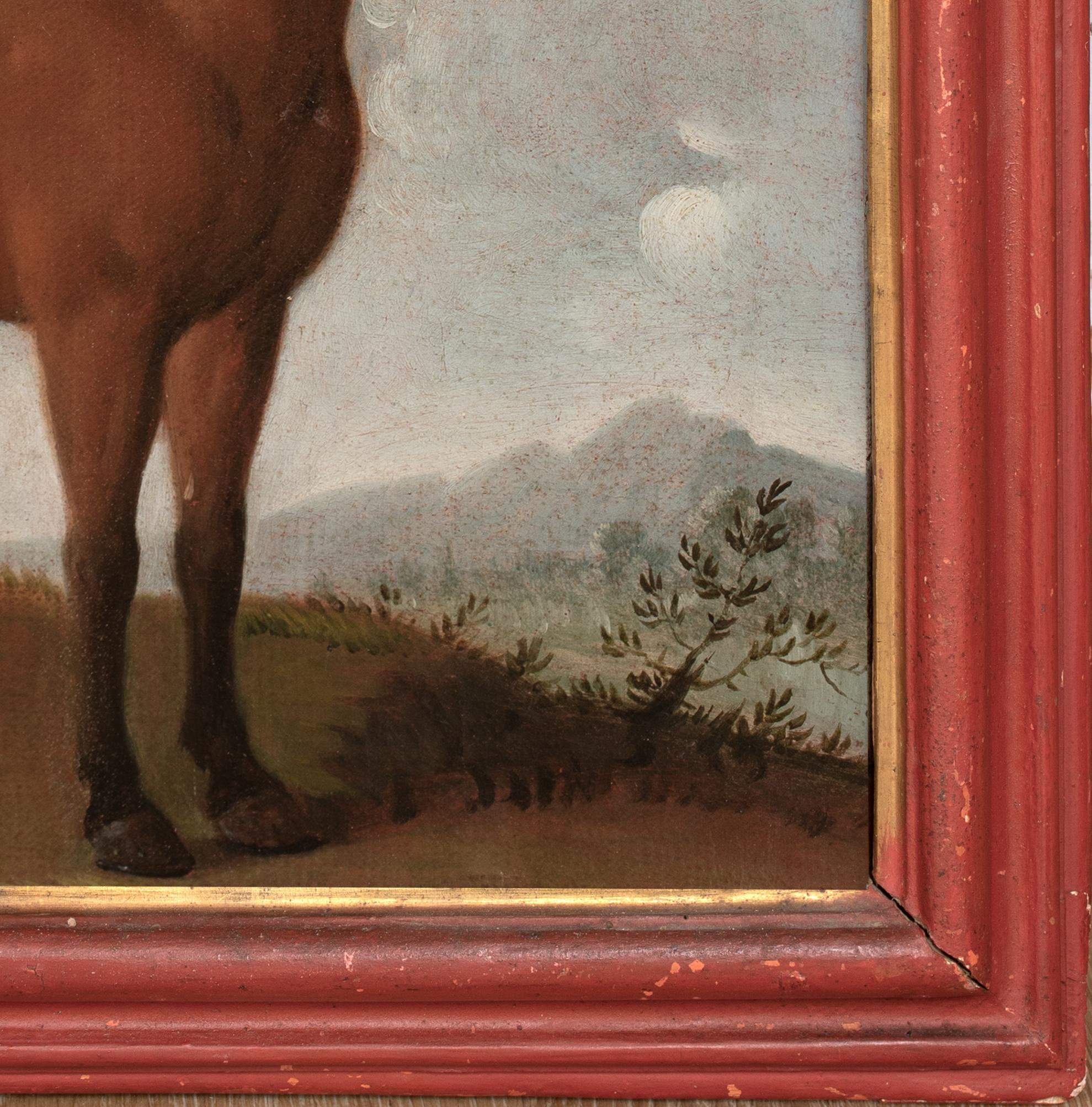 Porträt eines Pferdes, bevorzugter von König Ludwig XIV., 17. Jahrhundert

Frühe französische Schule

Französisches Pferdeporträt eines Lieblings von König Ludwig XIV. aus den Ställen von Versailles, 17. Jahrhundert, Öl auf Leinwand. Ausgezeichnete
