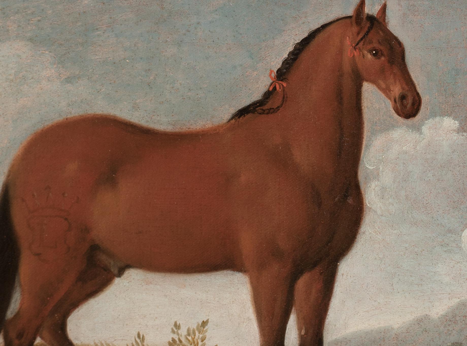 Porträt eines Pferdes, bevorzugter von König Ludwig XIV., 17. Jahrhundert im Angebot 3