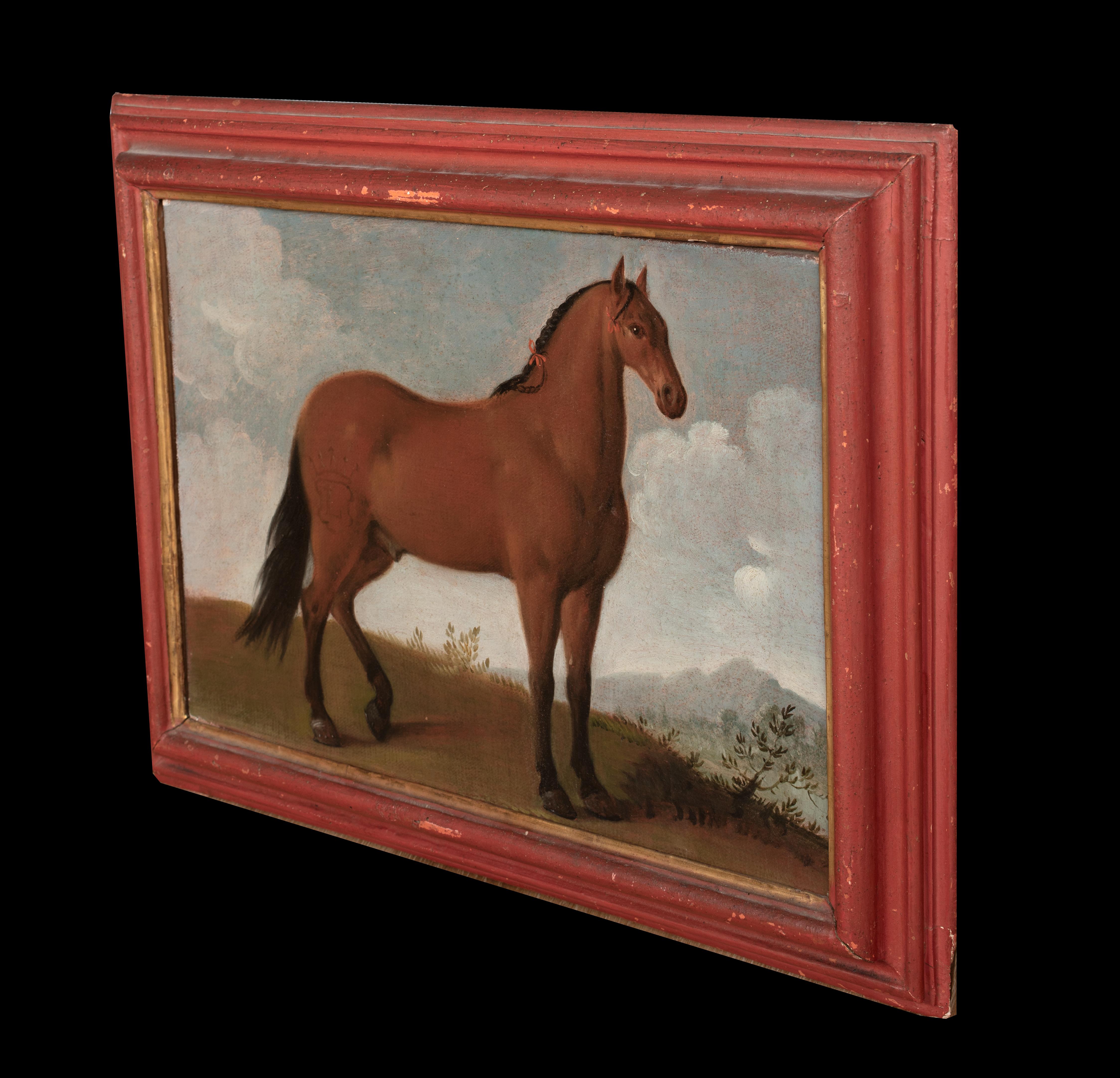 Porträt eines Pferdes, bevorzugter von König Ludwig XIV., 17. Jahrhundert im Angebot 4