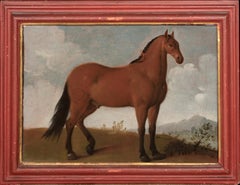 Retrato de un caballo, favorito del rey Luis XIV, siglo XVII