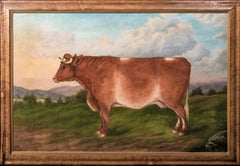 Portrait Of A Jersey Bull, 19th Century