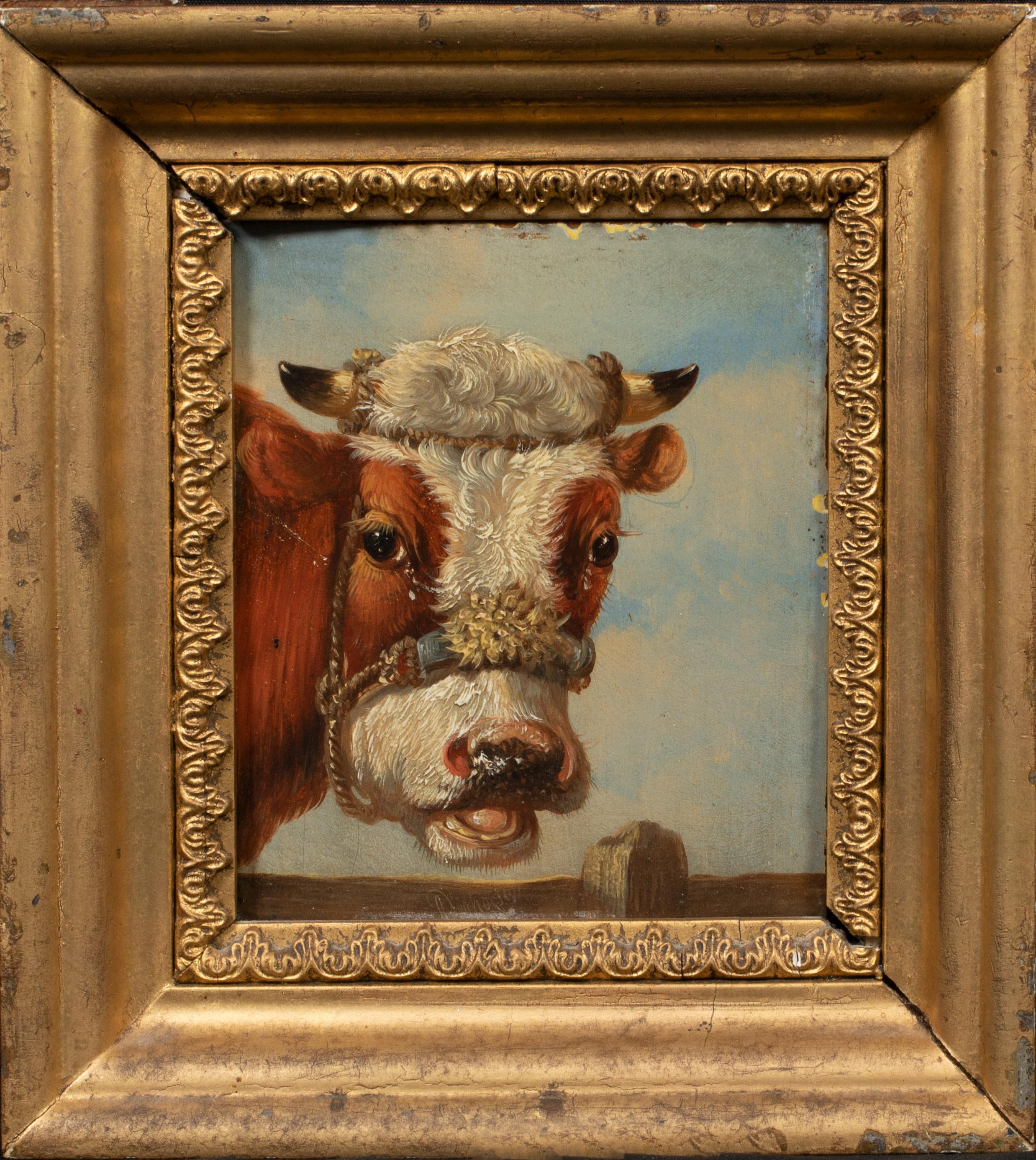 Portrait Of A Jersey Cow & A Frisian Cow, 19th Century - Painting by Unknown