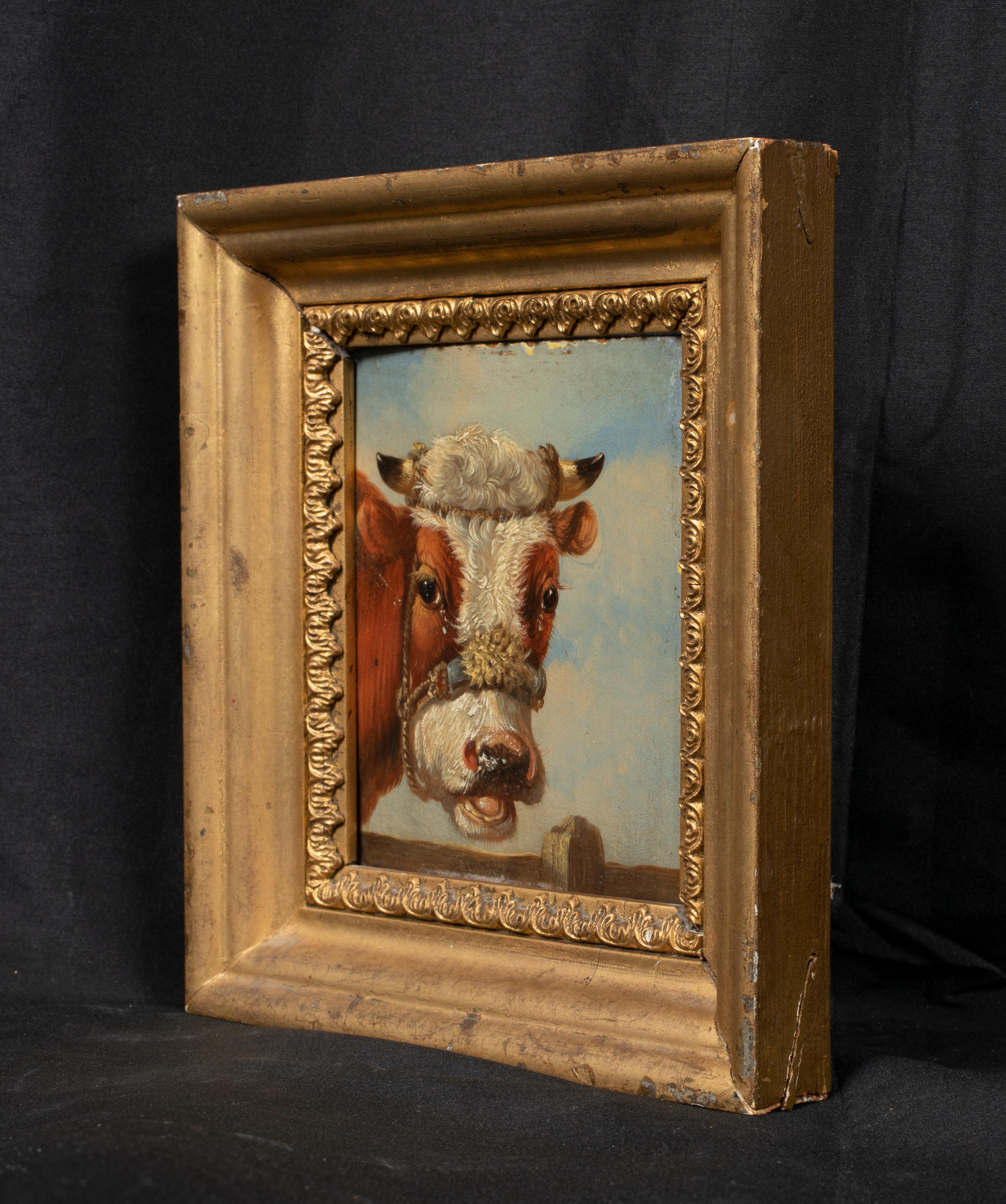 cow canvas