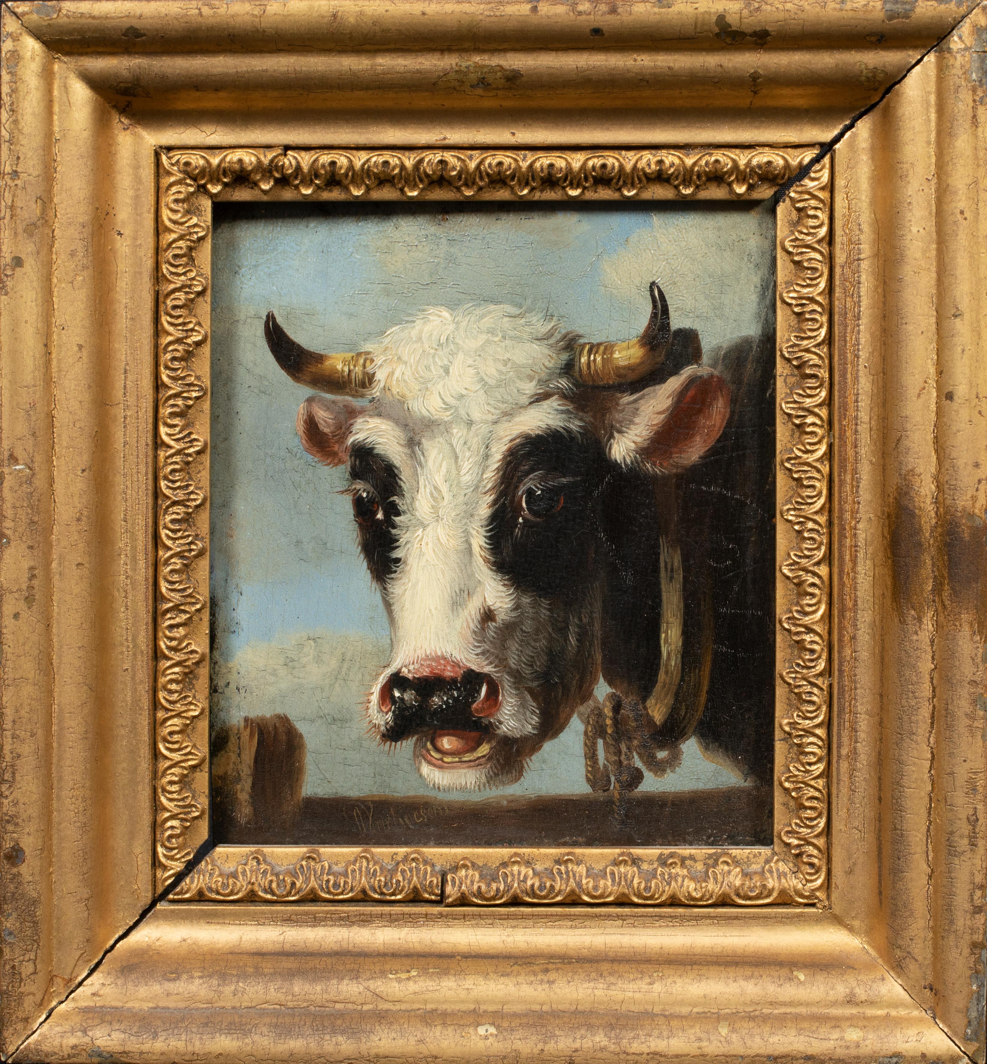Portrait Of A Jersey Cow & A Frisian Cow, 19th Century - Gray Portrait Painting by Unknown
