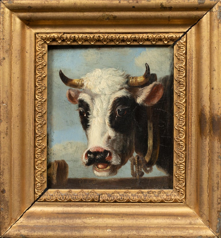 Portrait Of A Jersey Cow & A Frisian Cow, 19th Century   For Sale 2