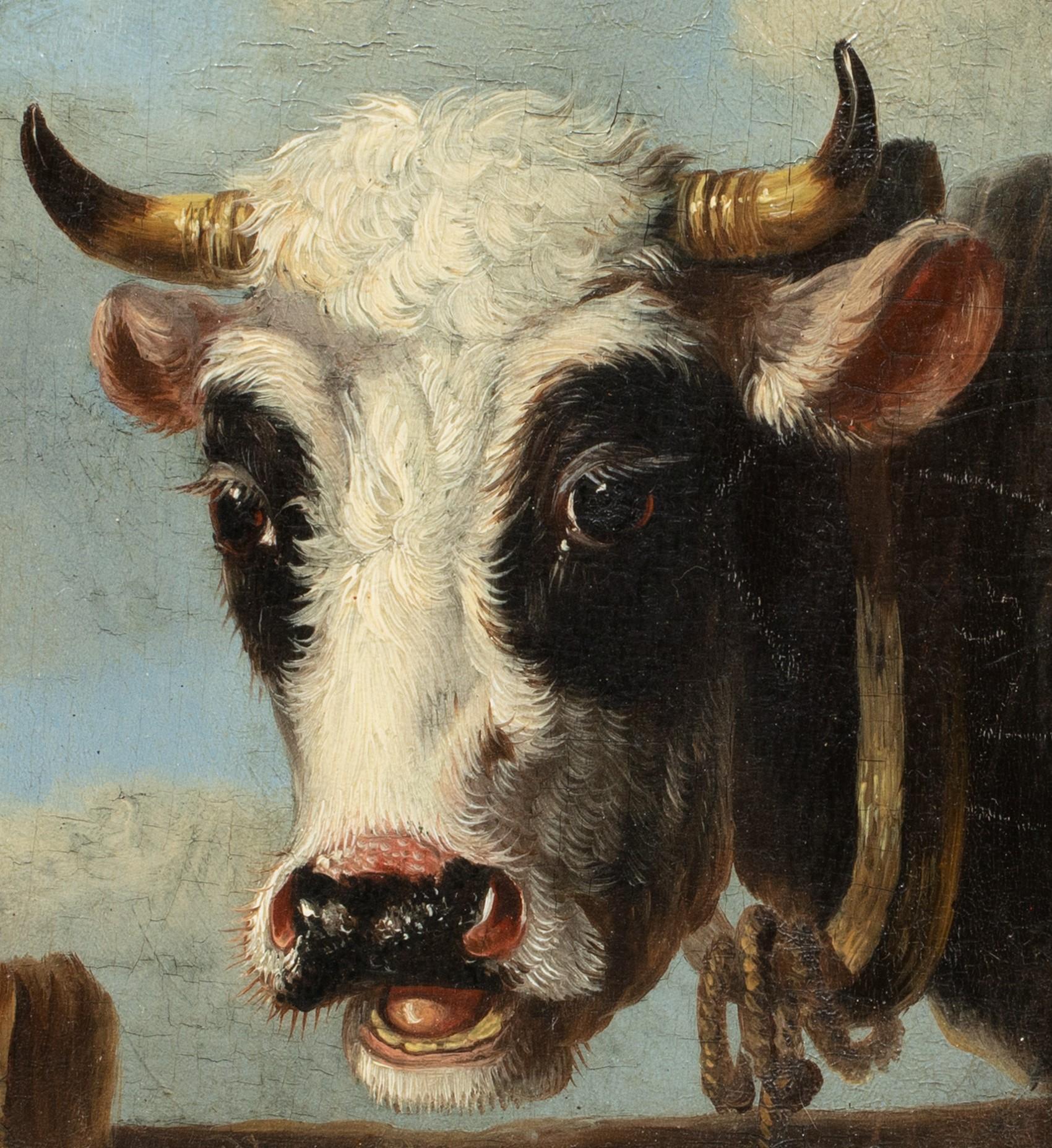 Portrait Of A Jersey Cow & A Frisian Cow, 19th Century

English School

Fine 19th century portrait of a Jersey & A Frisian Cow, oils on panel. Excellent quality and condition head study portraits looking back at the viewer. One of a matching pair we