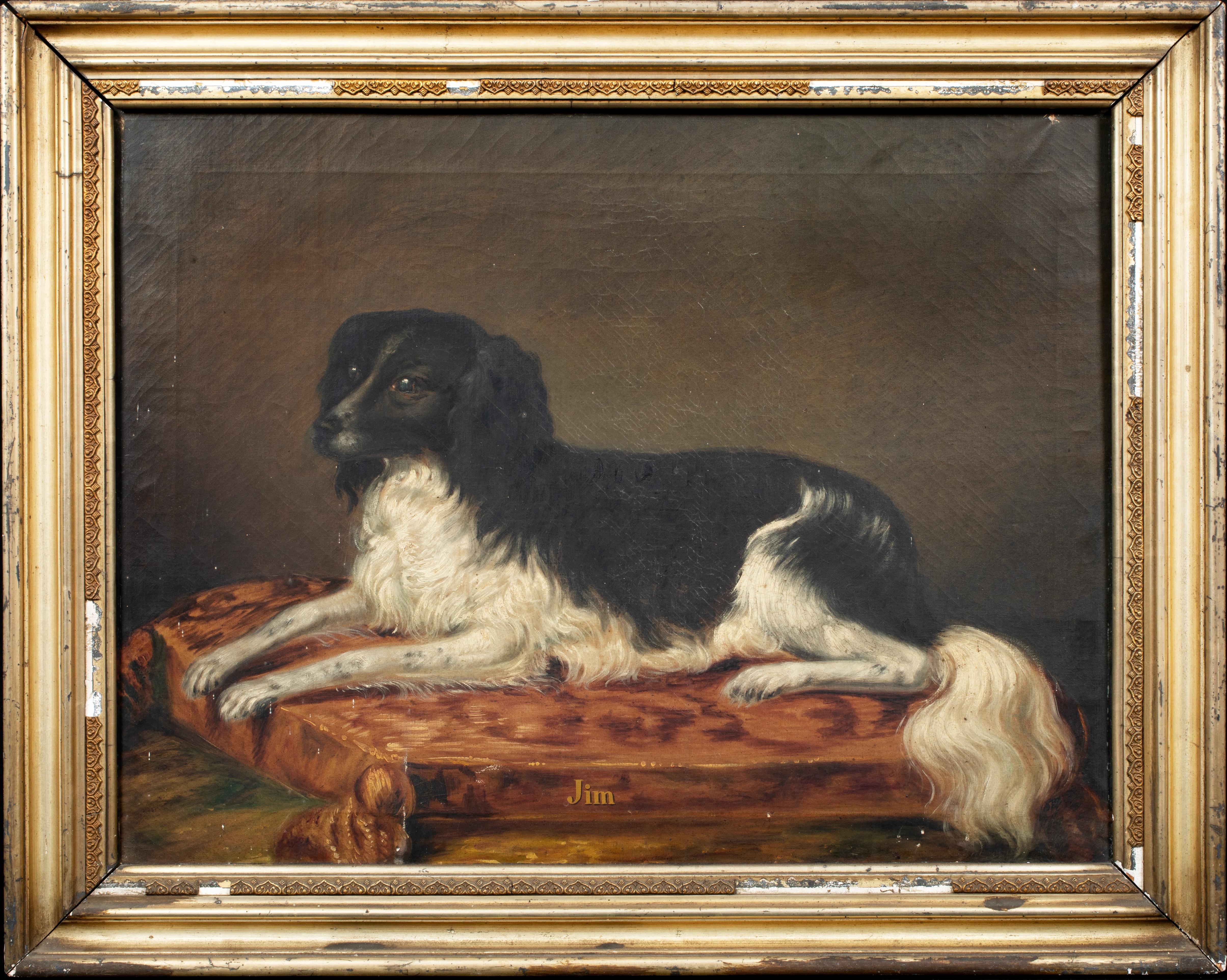 Unknown Portrait Painting - Portrait Of A "Jim", a Black & White Spaniel, circa 1800