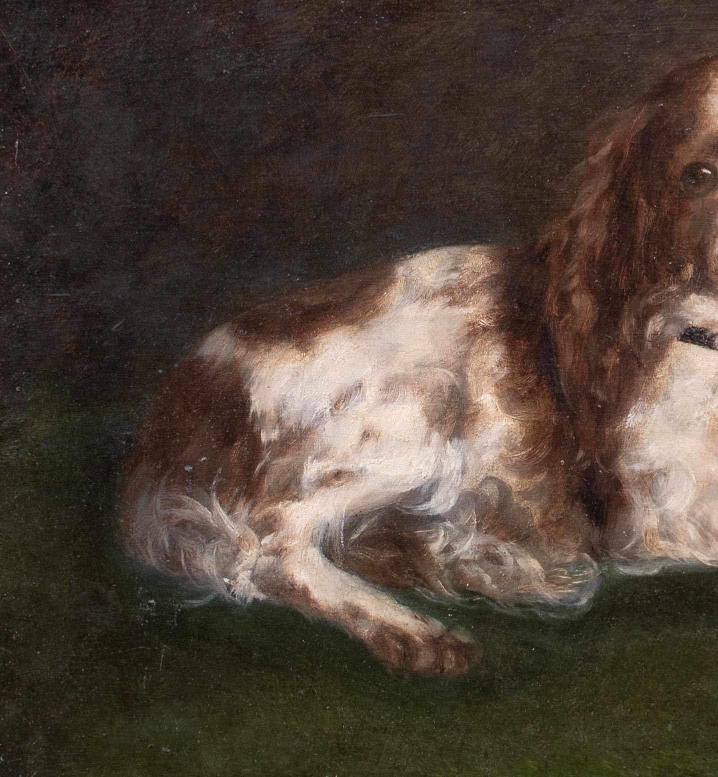 Portrait d'un épagneul King Charles, 19e siècle  École anglaise en vente 6