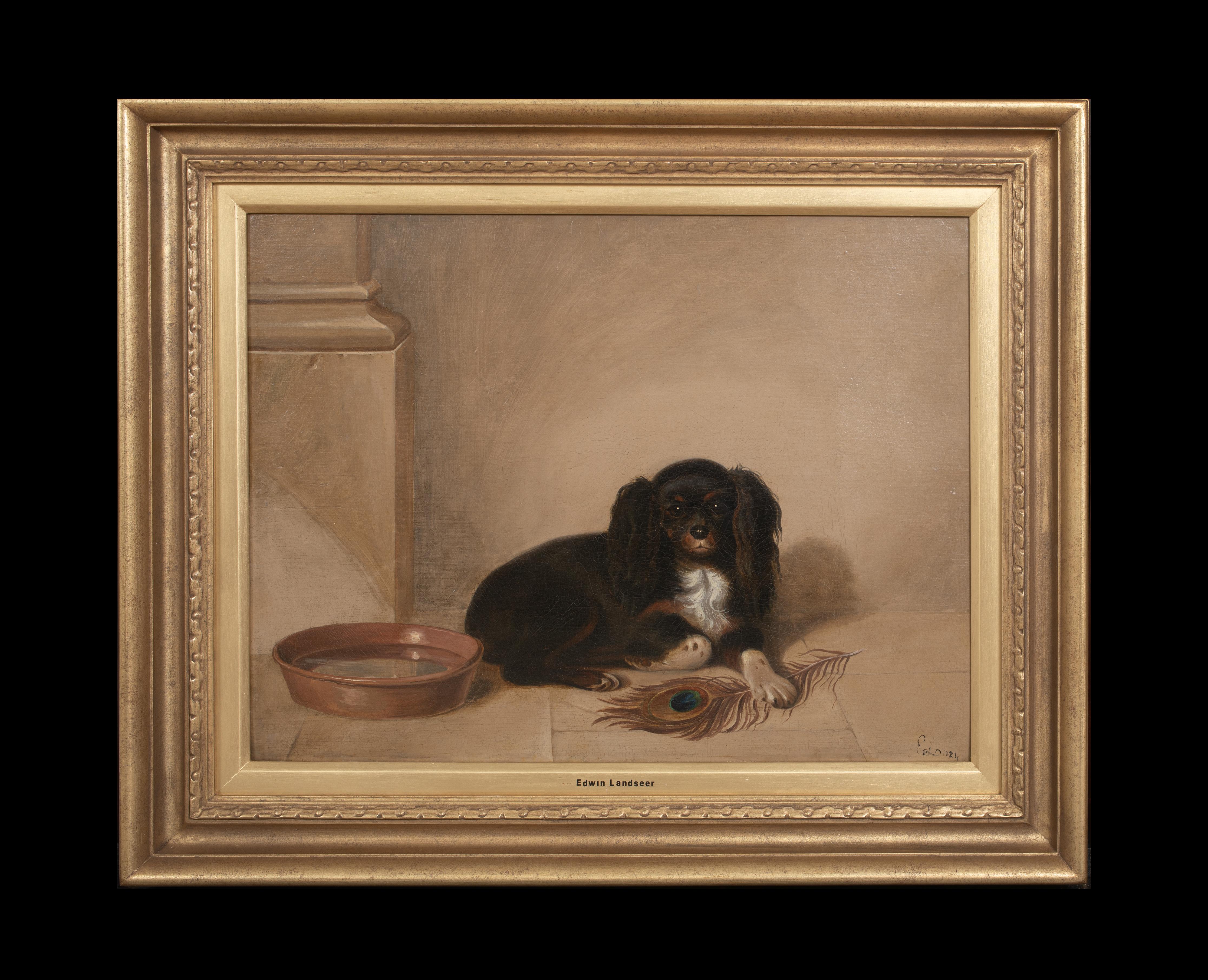 Portrait Of A King Charles Spaniel, 19th century SIR EDWARD LANDSEER (1802-1873) - Painting by Unknown