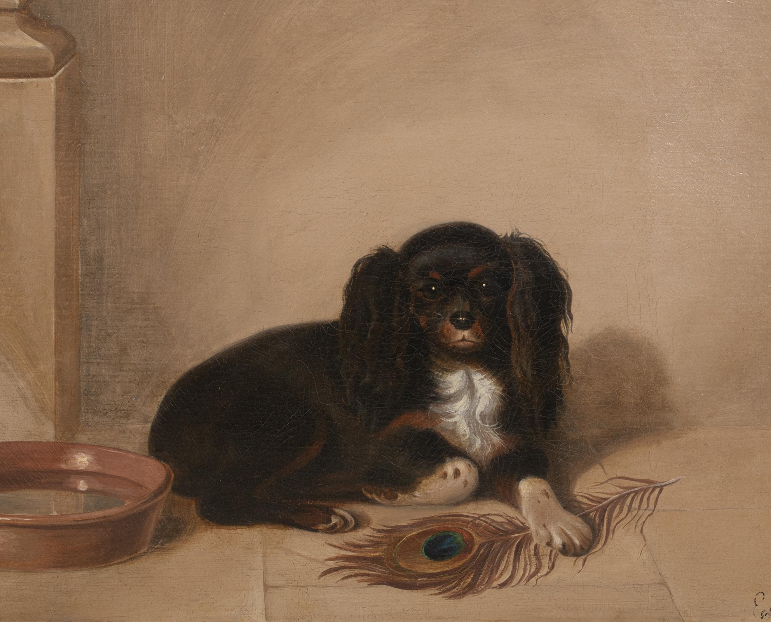 Portrait Of A King Charles Spaniel, 19th century SIR EDWARD LANDSEER (1802-1873) For Sale 2