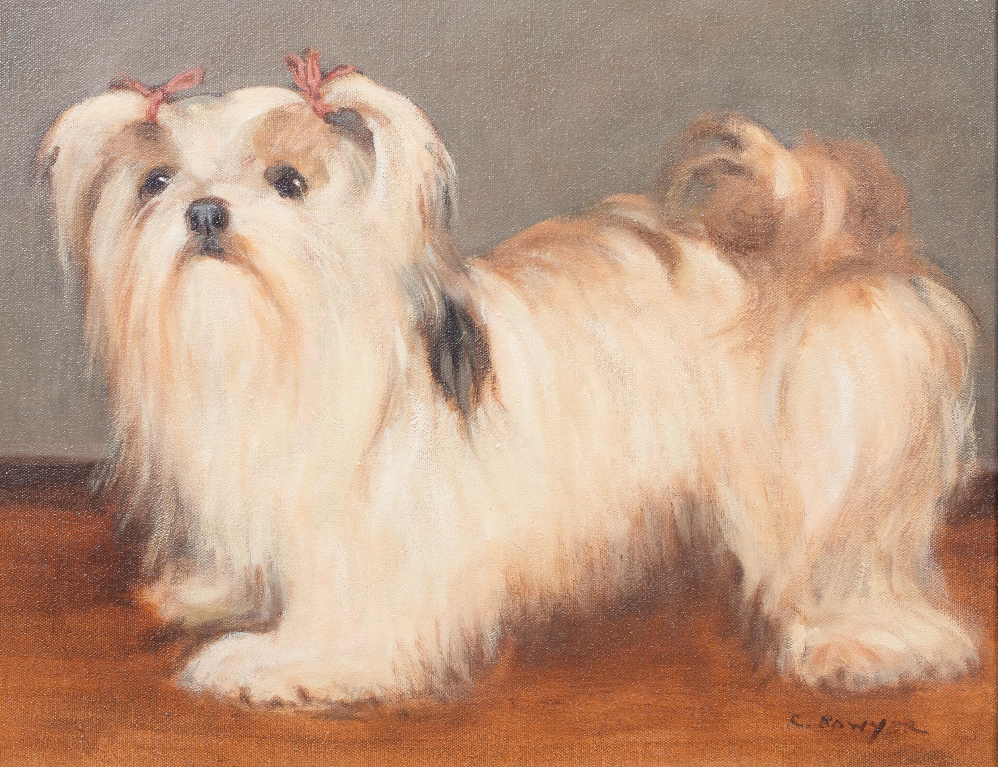Portrait Of A Lhasa Apso, 20th Century  by Ruth Bowyer  For Sale 1