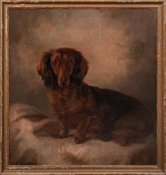 Ritratto di bassotto a pelo lungo, inizio XX secolo   di John Ernest Foster