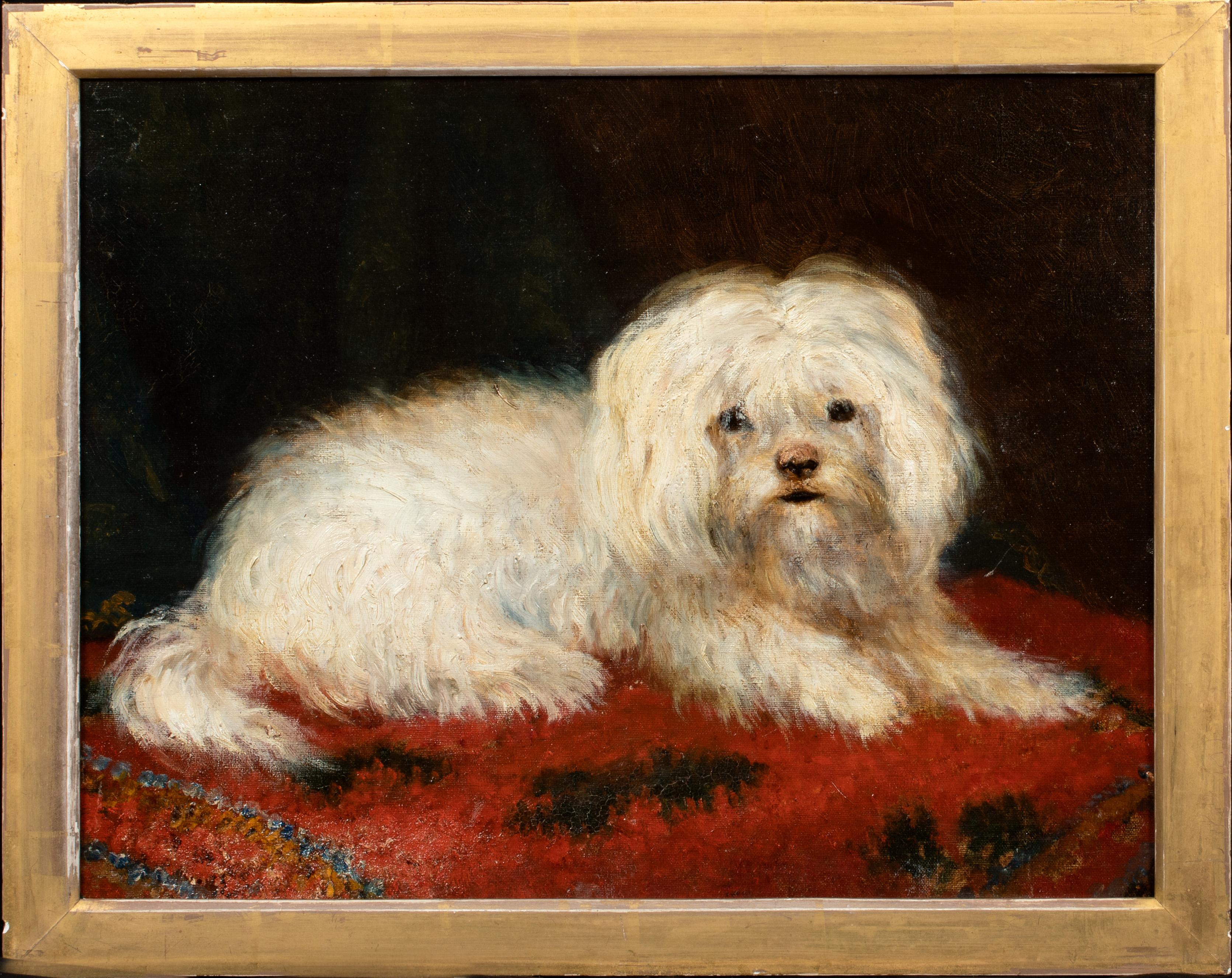 Portrait Of A Maltese, 19th Century  - Painting by Unknown