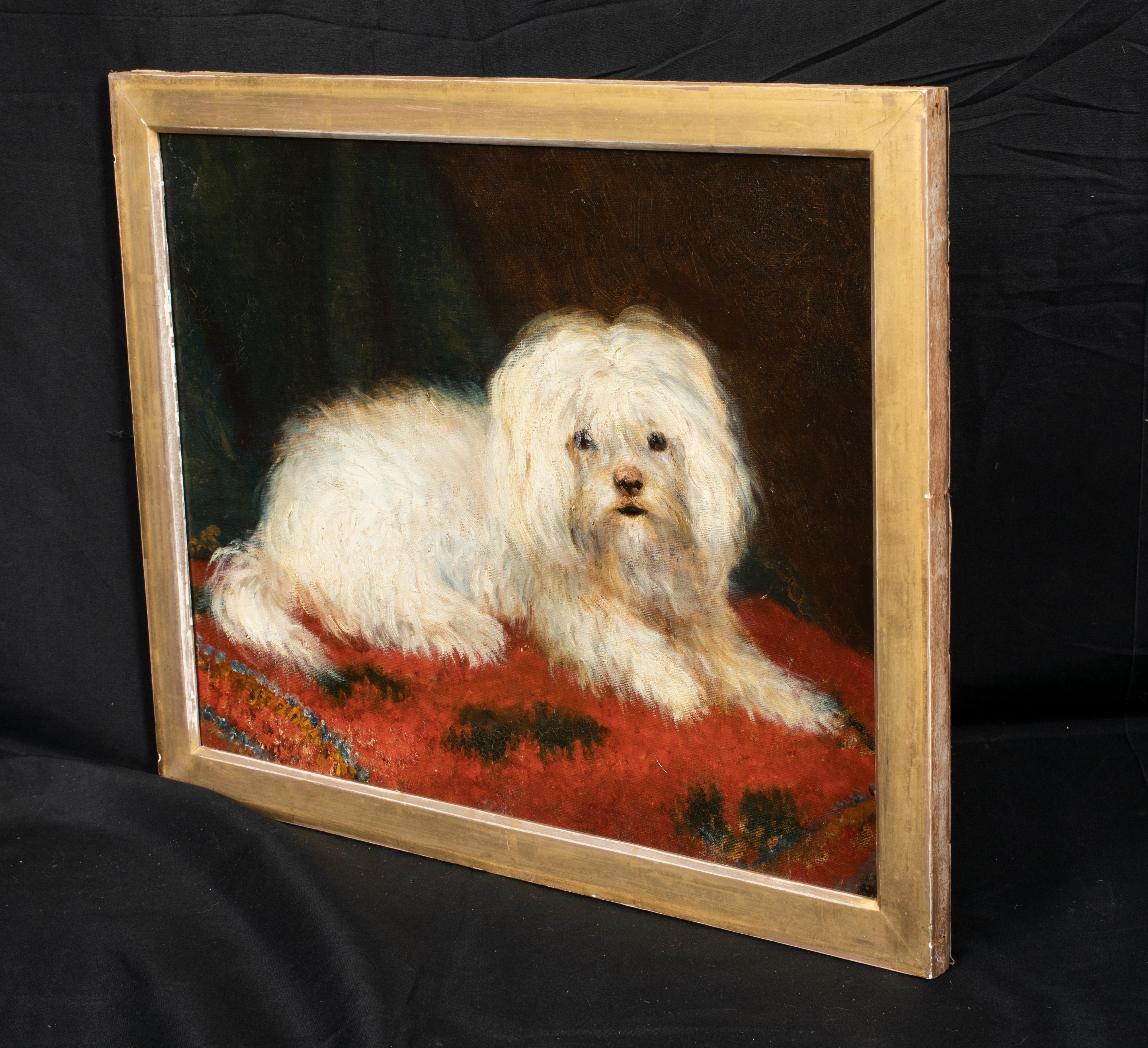 Portrait Of A Maltese, 19th Century 

European School

19th century European School portrait of a Maltese, oil on laid to board. Good qualityy and condition rare early depiction of the breed lying on a red rug. Framed. 

Measurements: 20.5