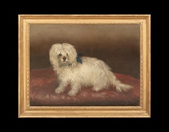 Portrait Of A Maltese Terrier, 19th Century circle of George EARL (1824-1908)