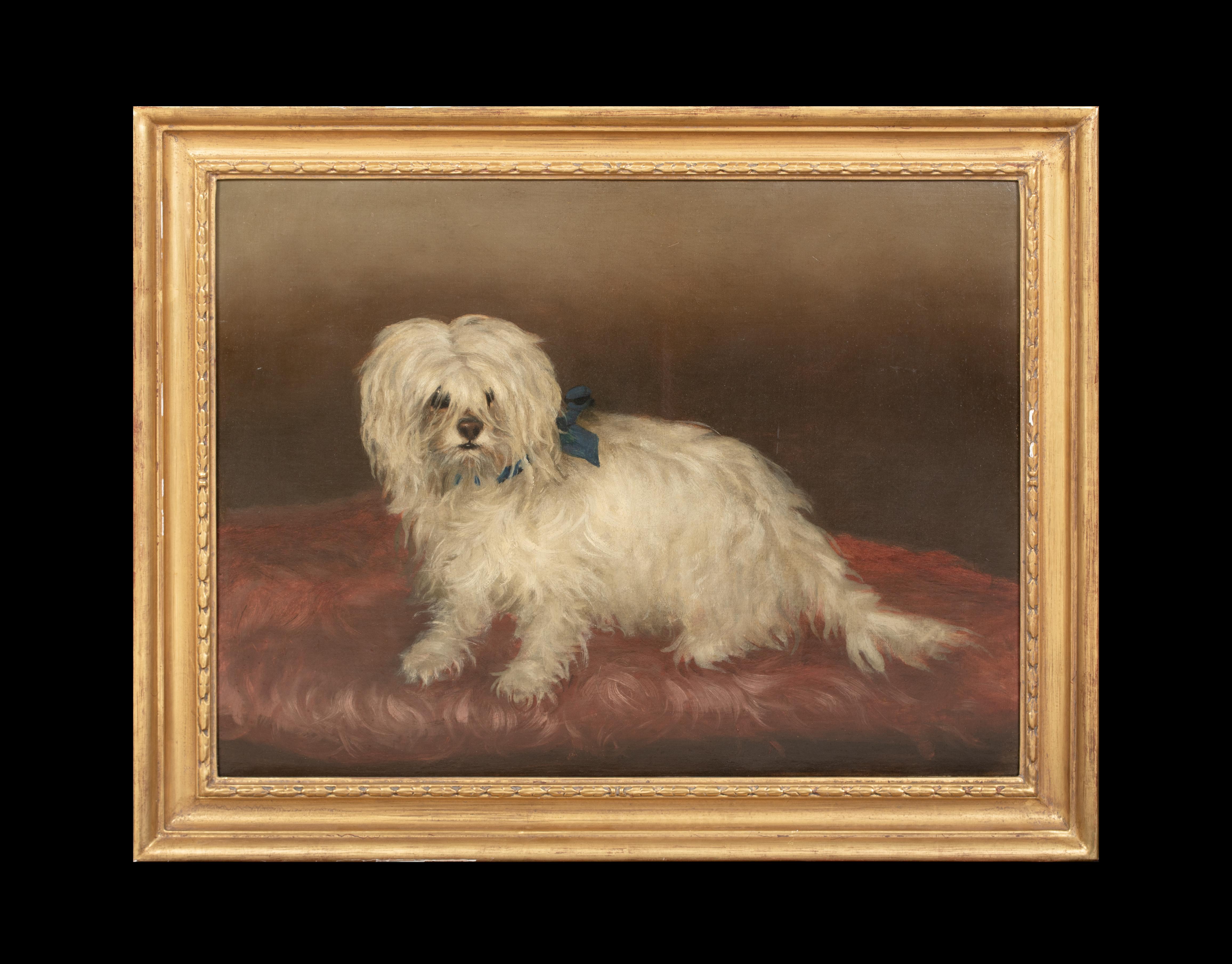 Portrait d'un terrier maltais, 19e siècle  cercle de George EARL (1824-1908) - Painting de Unknown