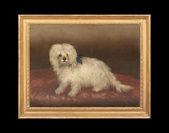 Portrait Of A Maltese Terrier, 19th Century  circle of George EARL (1824-1908)