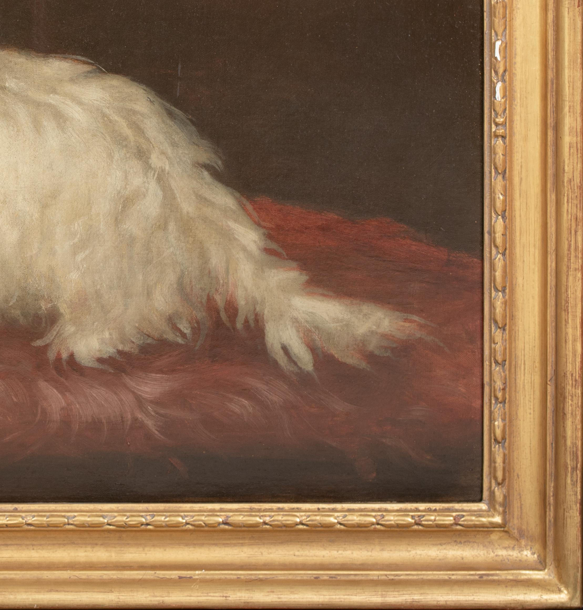 Portrait d'un terrier maltais, 19e siècle

cercle de George EARL (1824-1908)

Grand portrait du 19e siècle d'un chien Terrier Maltais sur un coussin rouge, huile sur toile. Excellente qualité et condition rare étude précoce de la race à grande