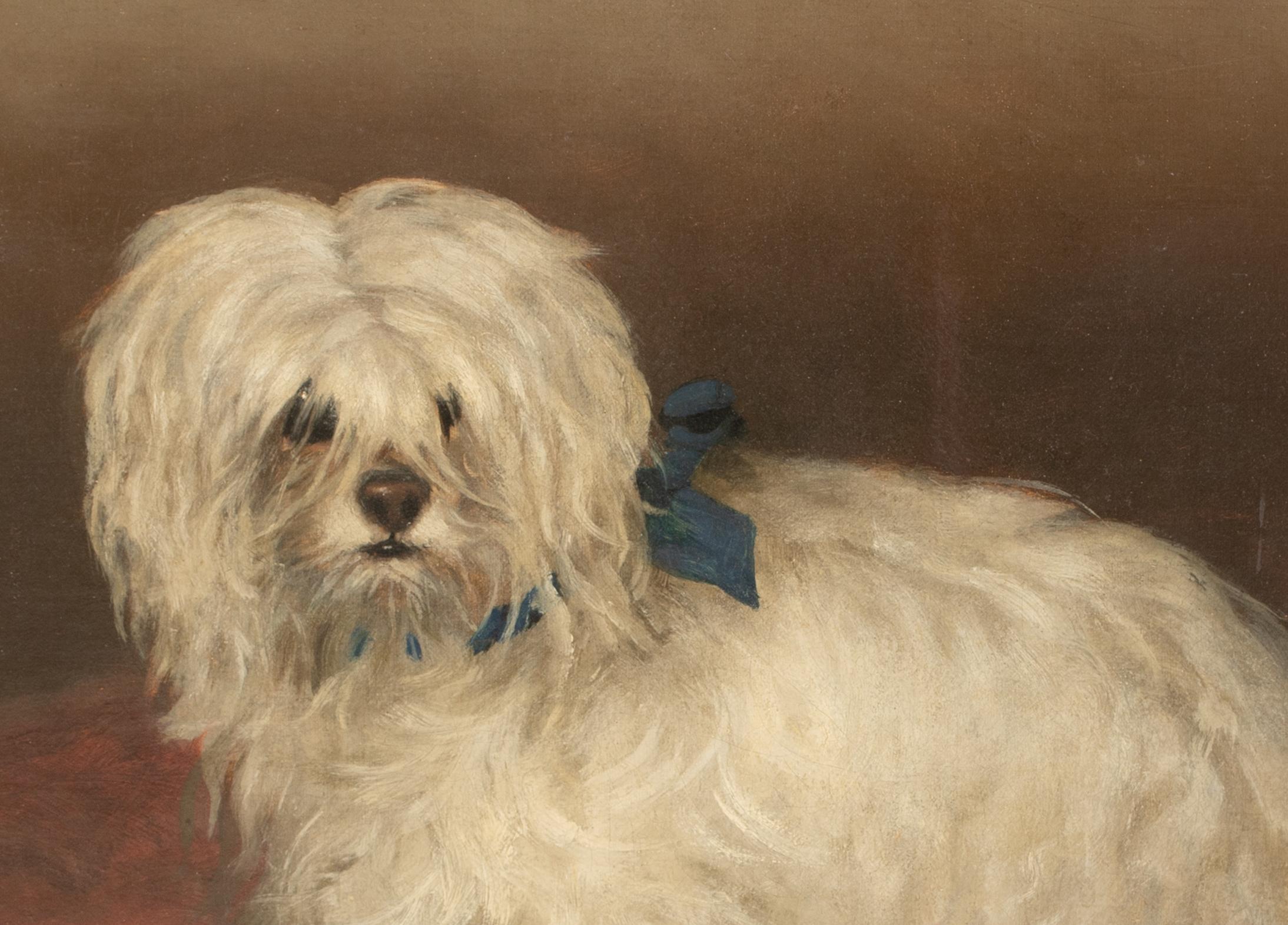 Portrait d'un terrier maltais, 19e siècle  cercle de George EARL (1824-1908) en vente 2