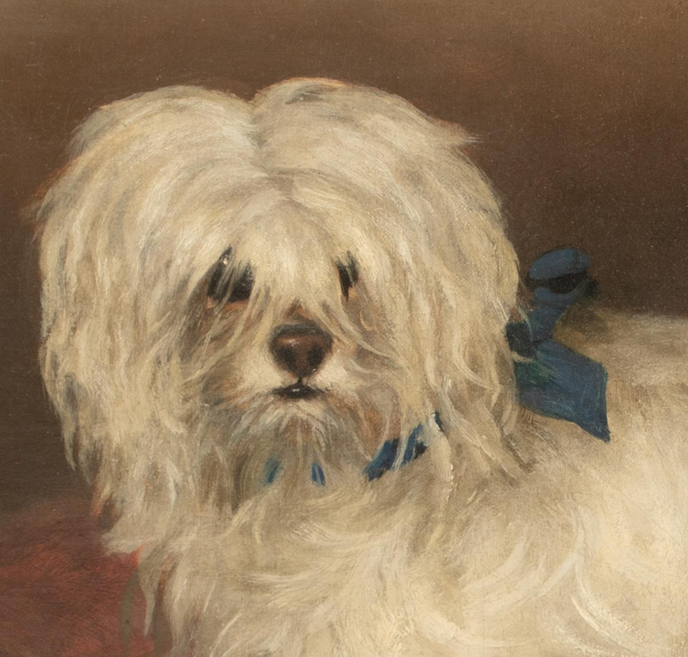 Portrait d'un terrier maltais, 19e siècle  cercle de George EARL (1824-1908) en vente 3