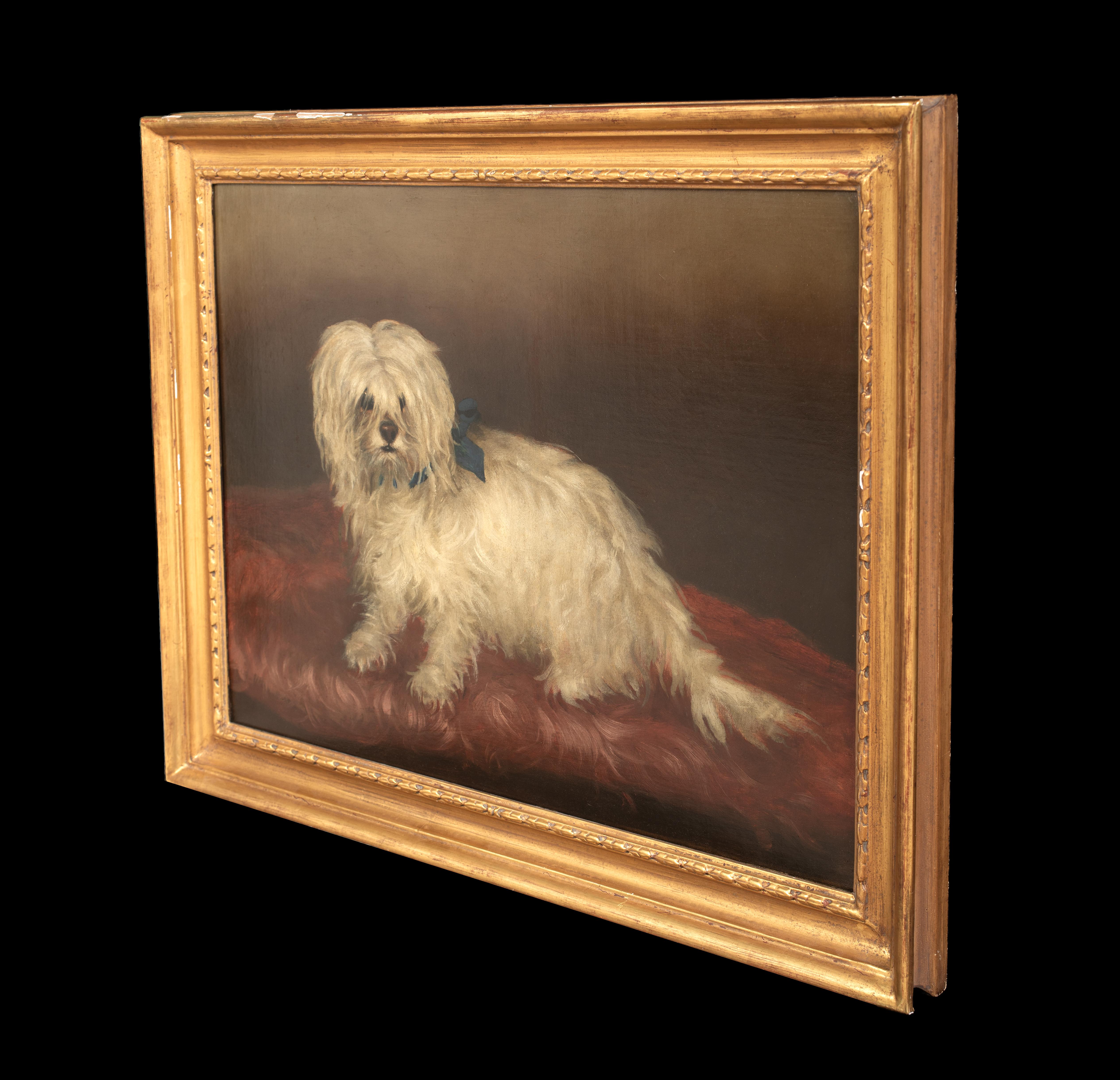Portrait d'un terrier maltais, 19e siècle  cercle de George EARL (1824-1908) en vente 4