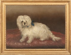 Portrait Of A Maltese Terrier, 19th Century  circle of George EARL (1824-1908)